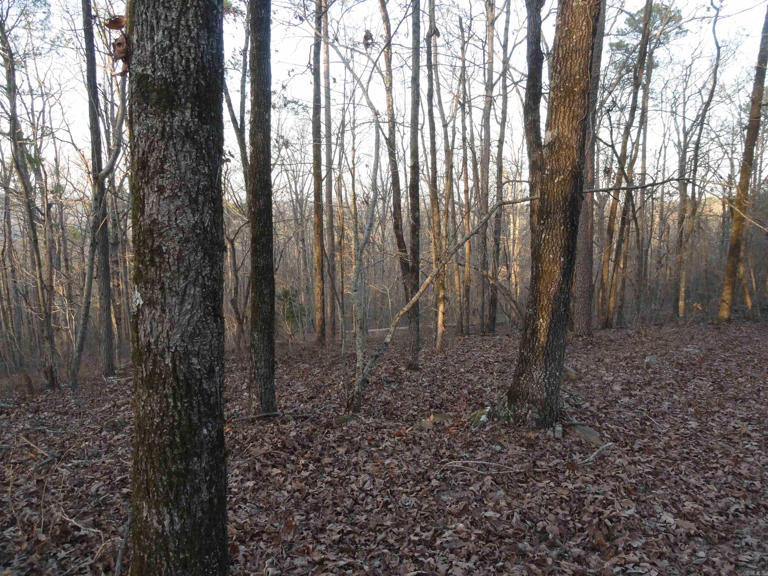 Metes & Bounds - Land