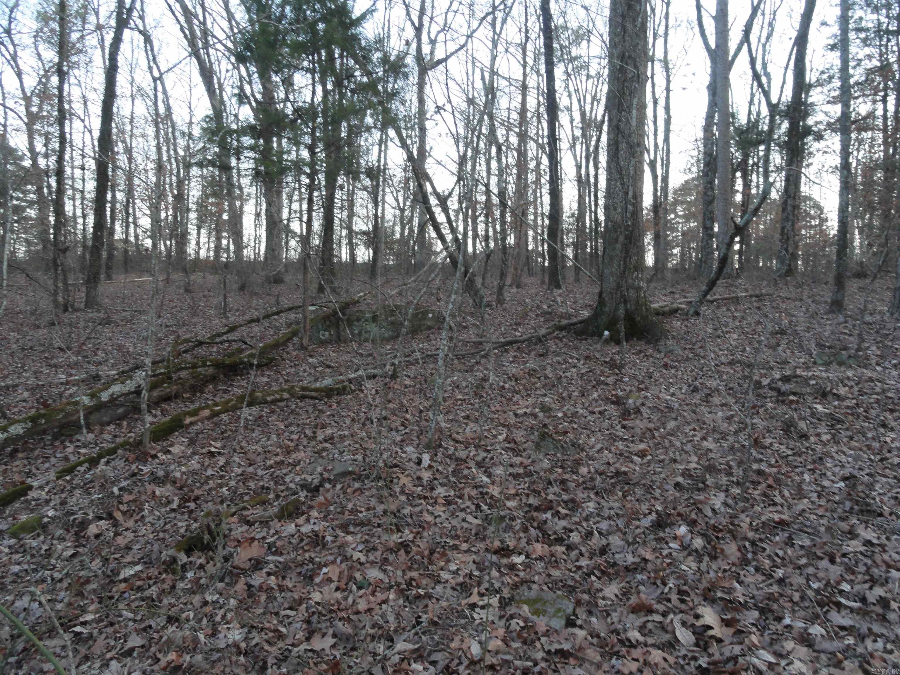 Metes & Bounds - Land