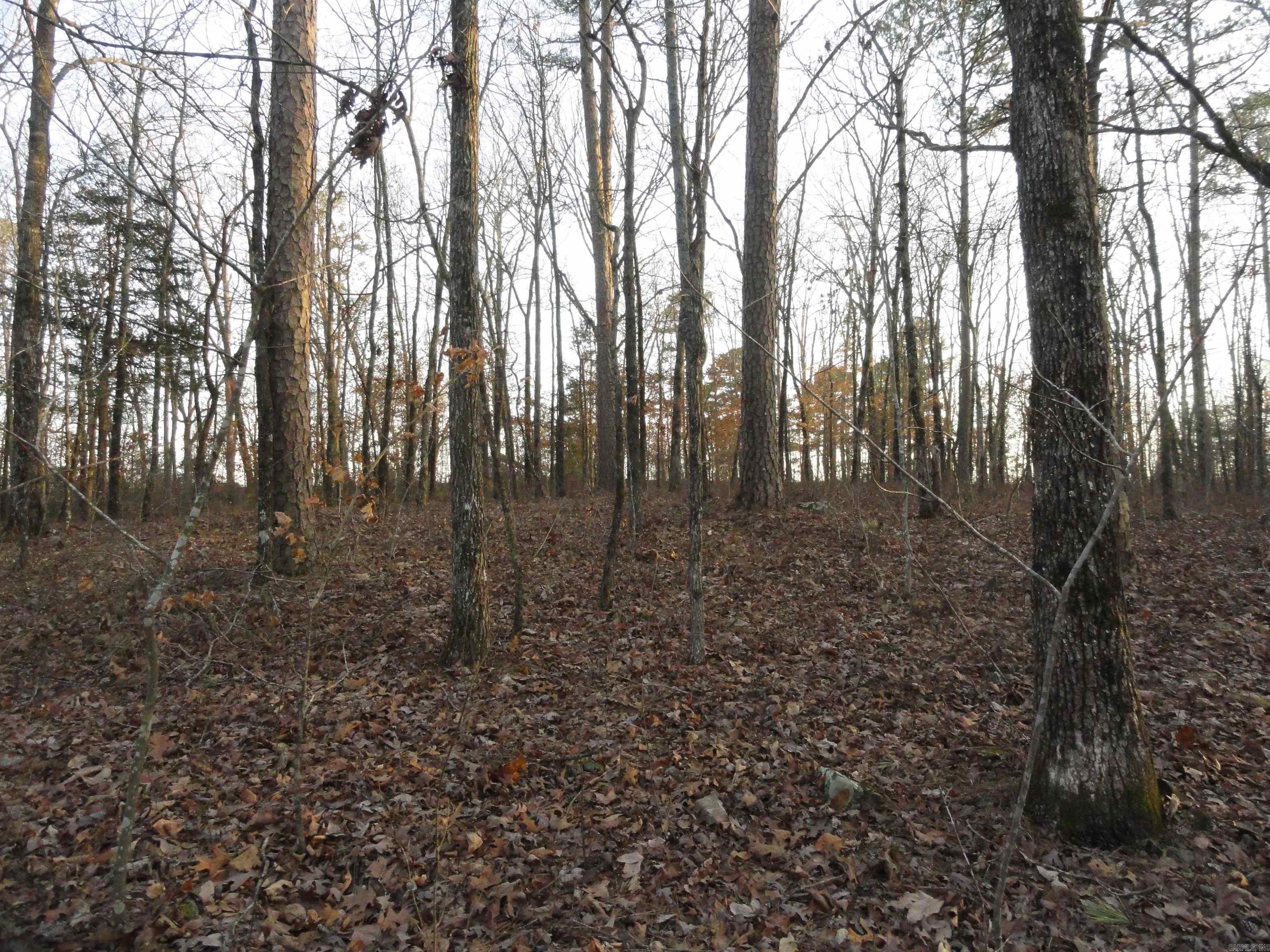 Metes & Bounds - Land