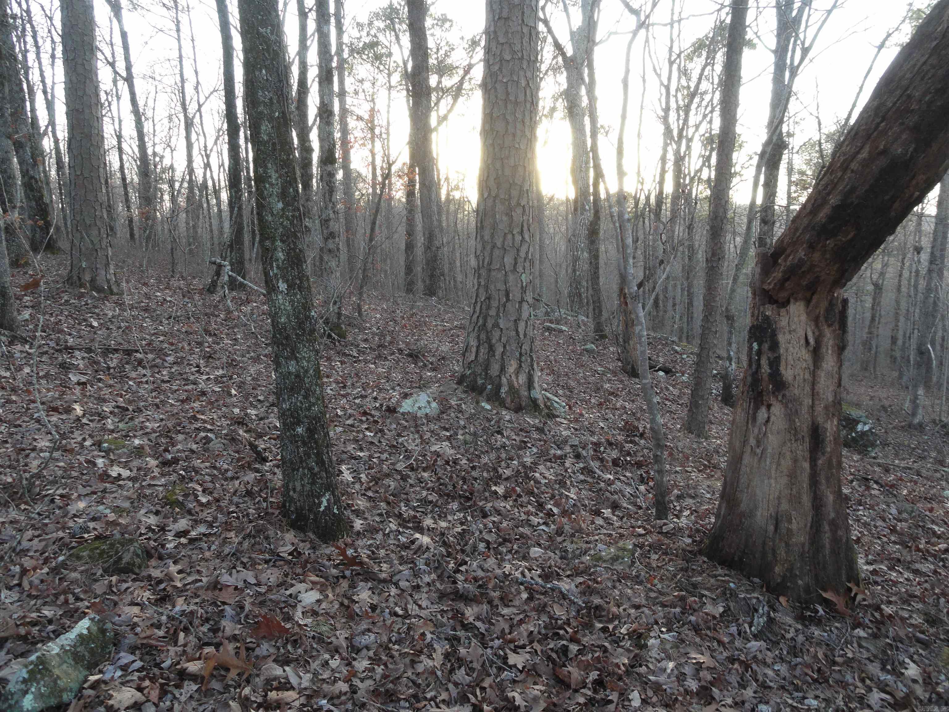 Metes & Bounds - Land