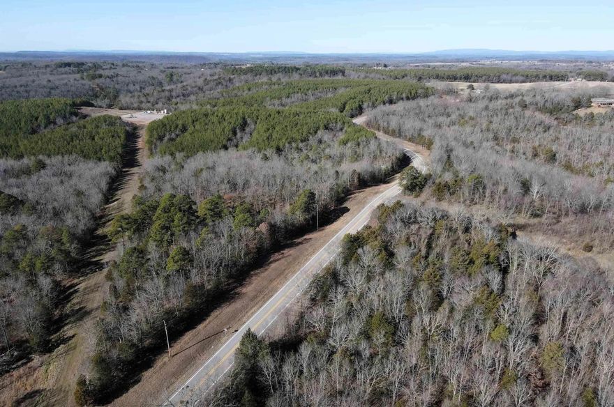 20 +/- acres on Hwy 92 in Conway County, AR.