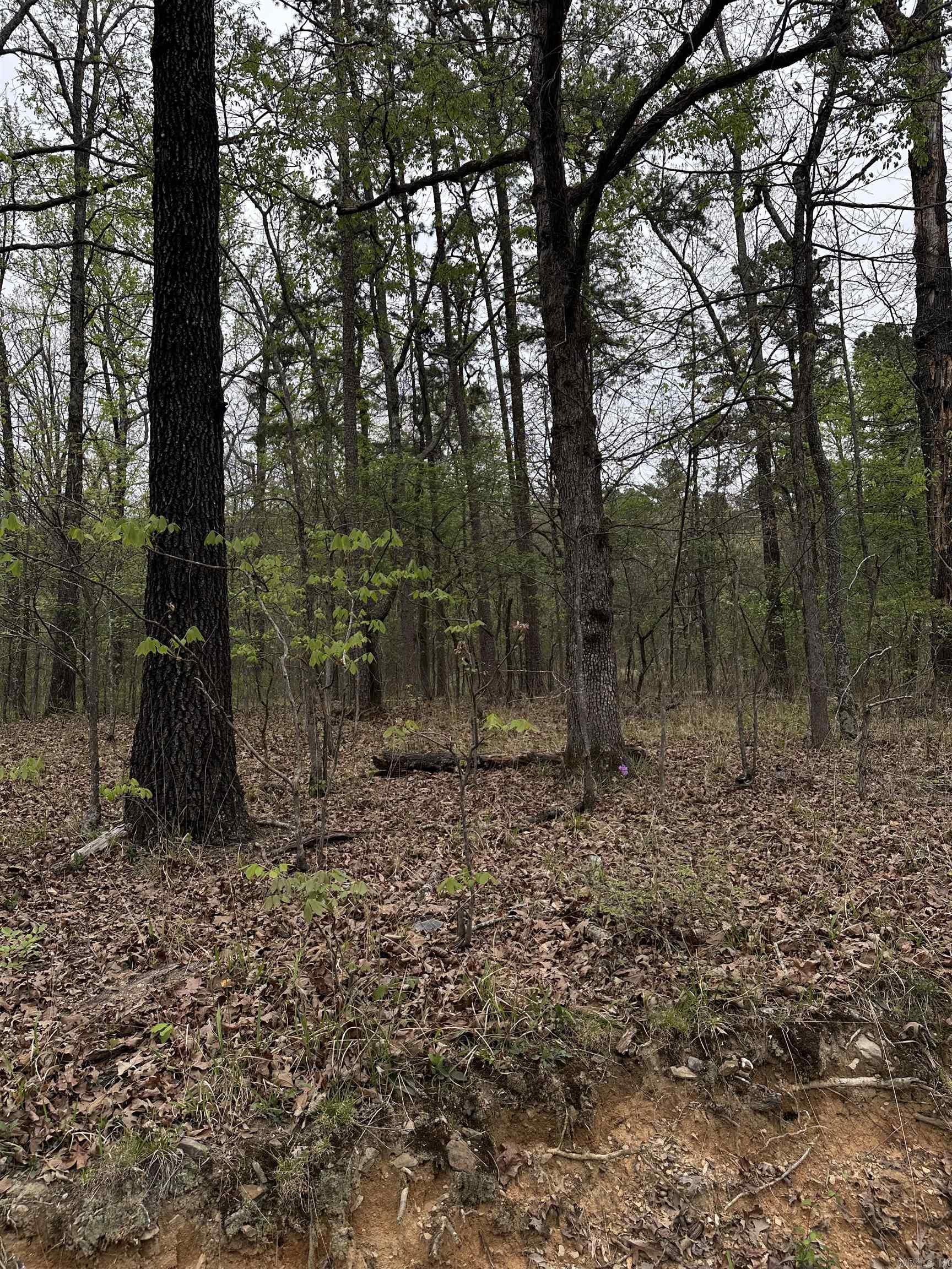 Interurban Heights - Land