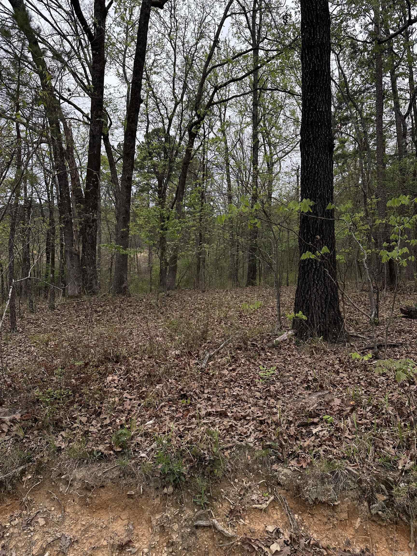 Interurban Heights - Land