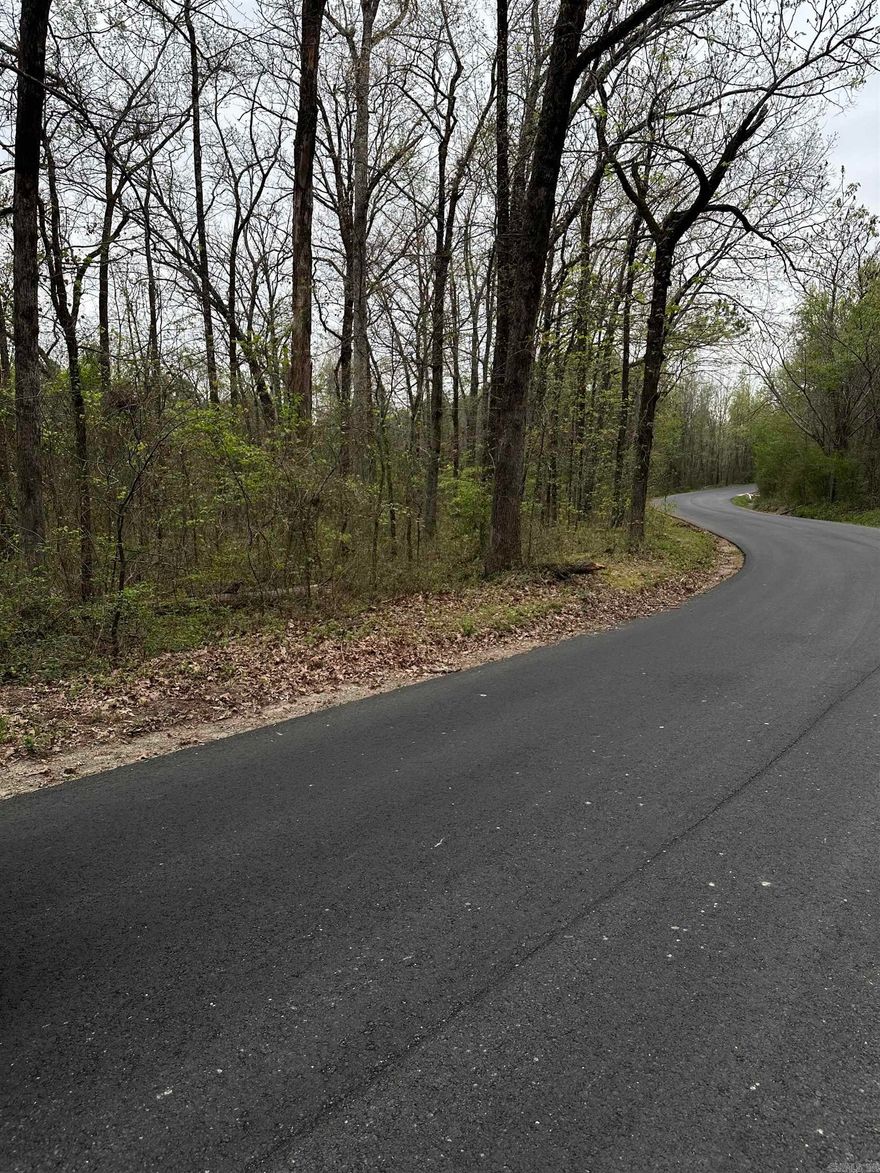 This property is close to town yet still has a country feel. Close to Magic Springs and Gulpha Gorge. Very close to all downtown activities. Call today to take a look at this property.