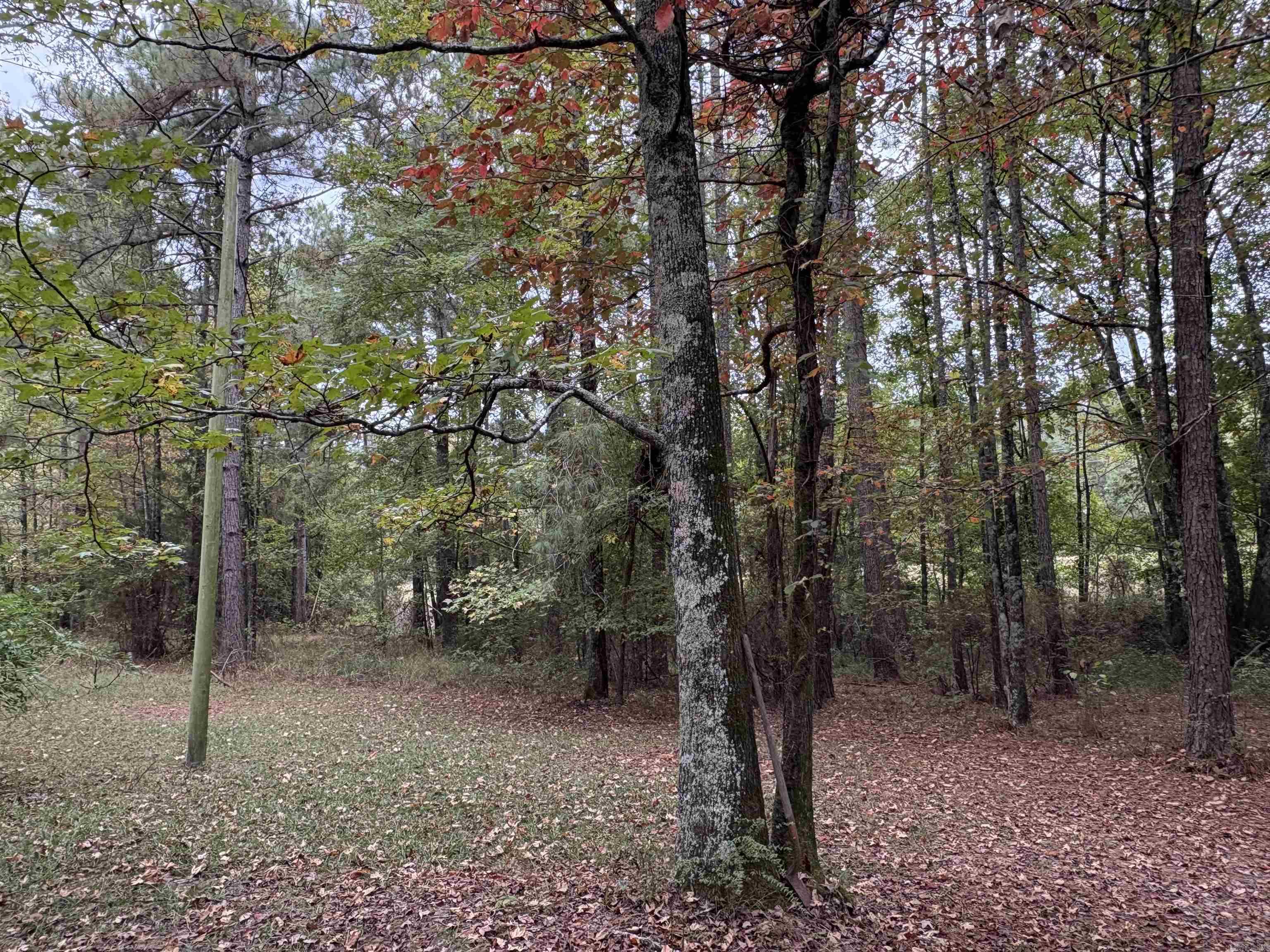 Lincoln - Residential