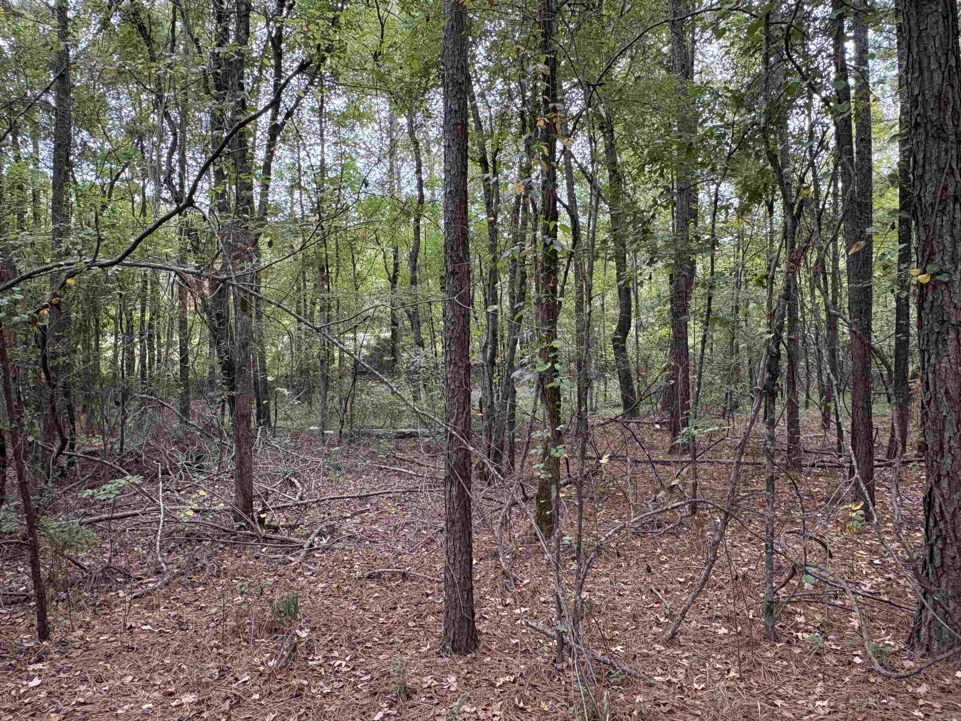 Lincoln - Residential