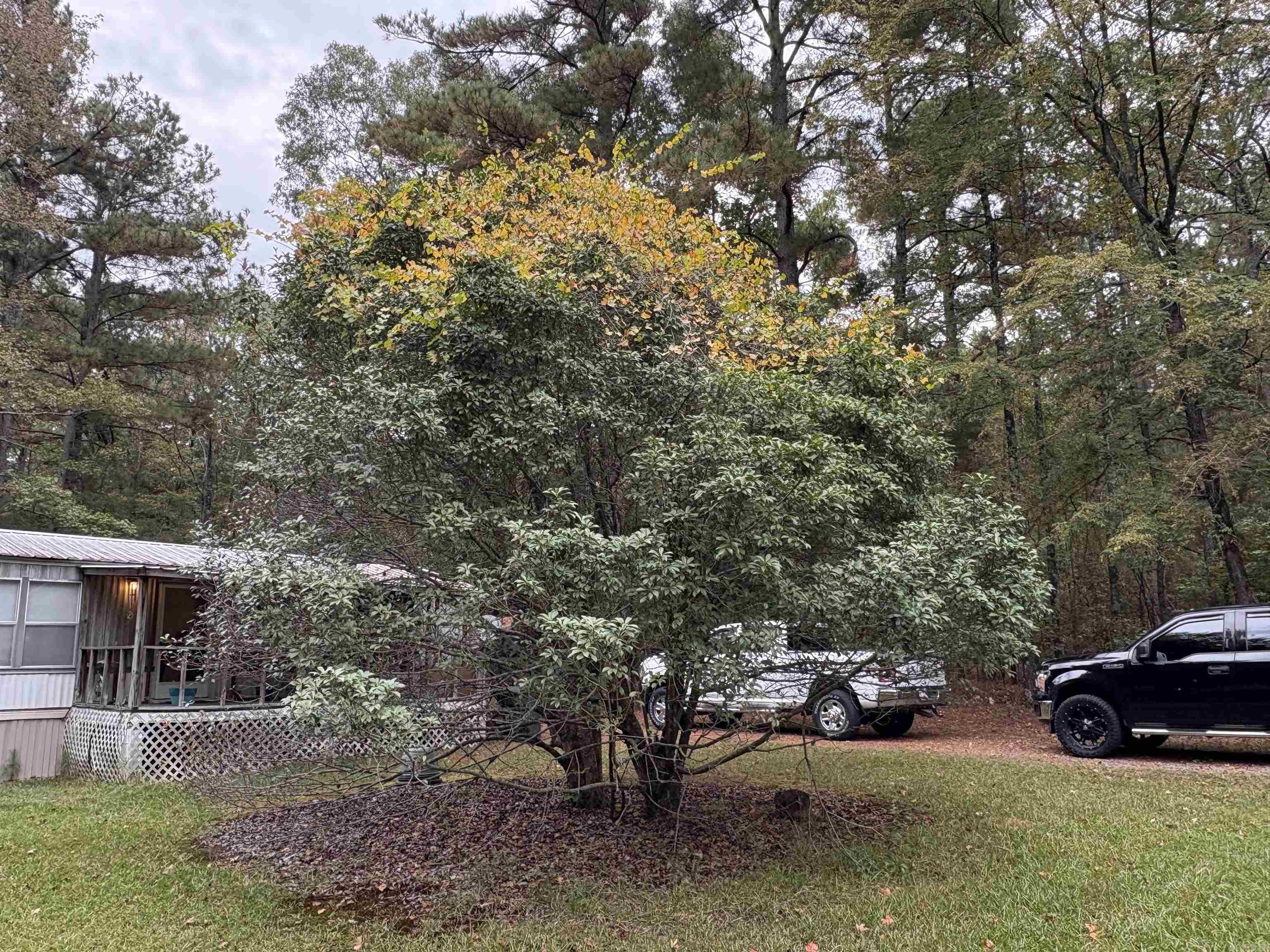 Lincoln - Residential