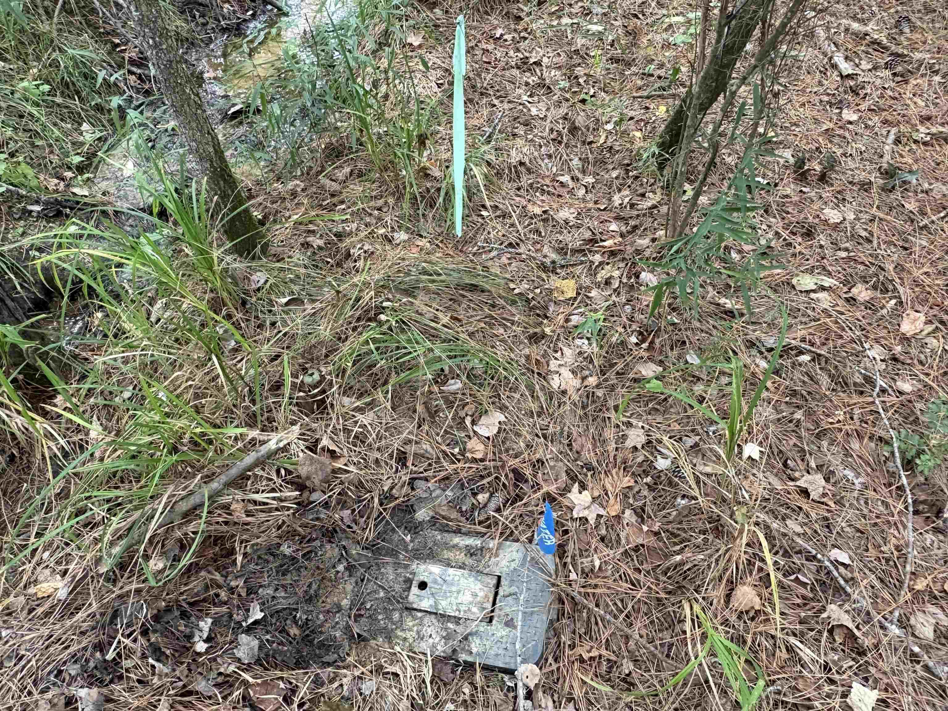 Lincoln - Residential