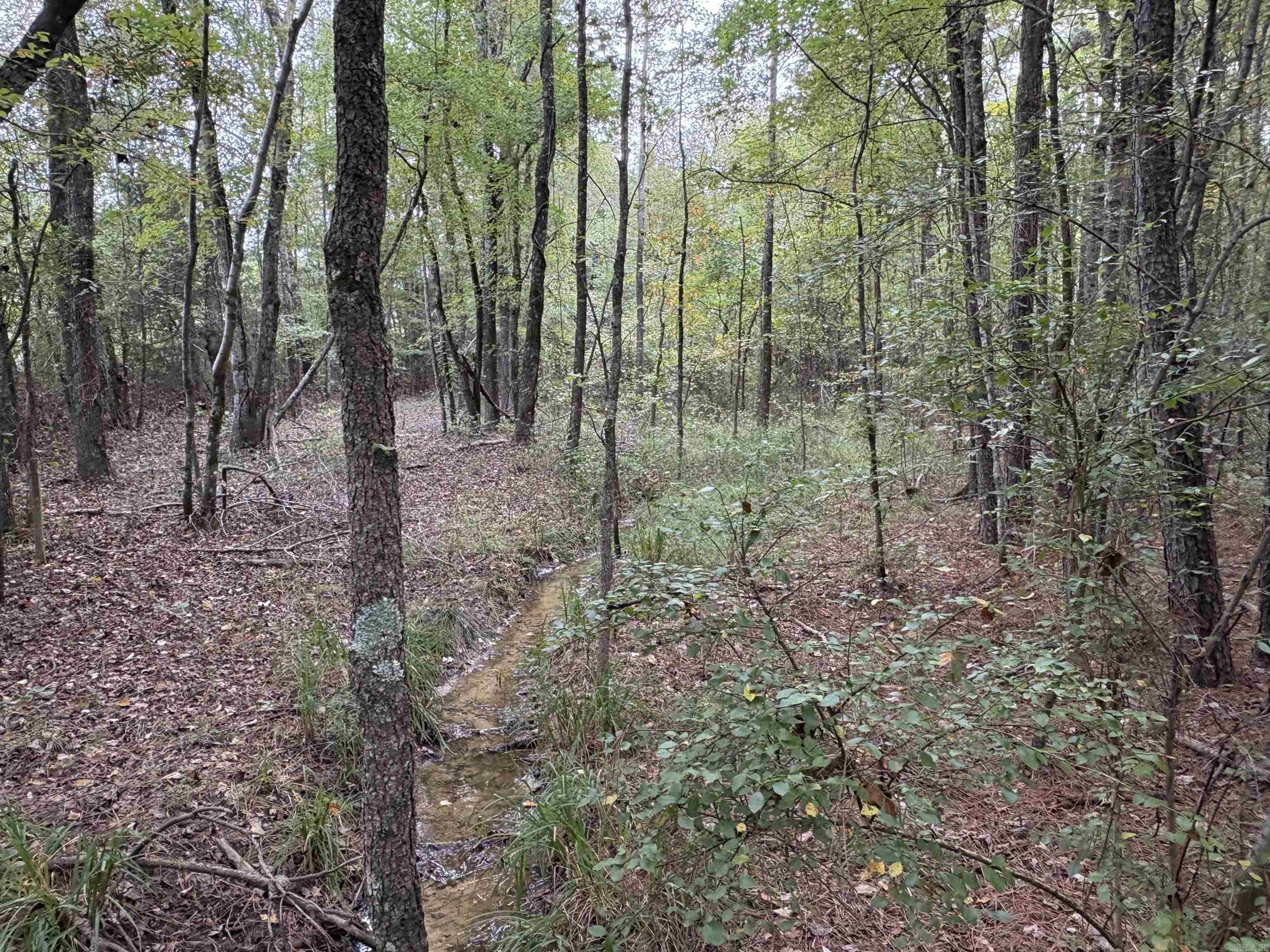 Lincoln - Residential