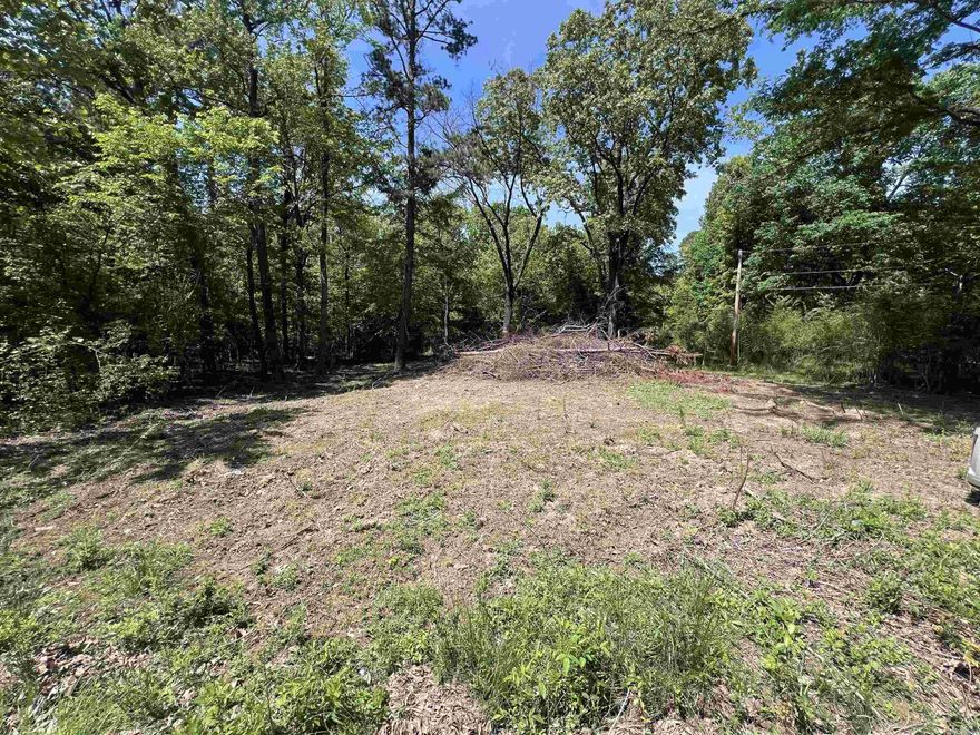 Absolutely beautiful 11 acres in the Ferndale Area to build your dream home.  Large mature trees for plenty of privacy if wanted.  Seller has done Survey, Perc Test, and cleared an area to be able to pull into from road. Don't miss out on this one!!!!