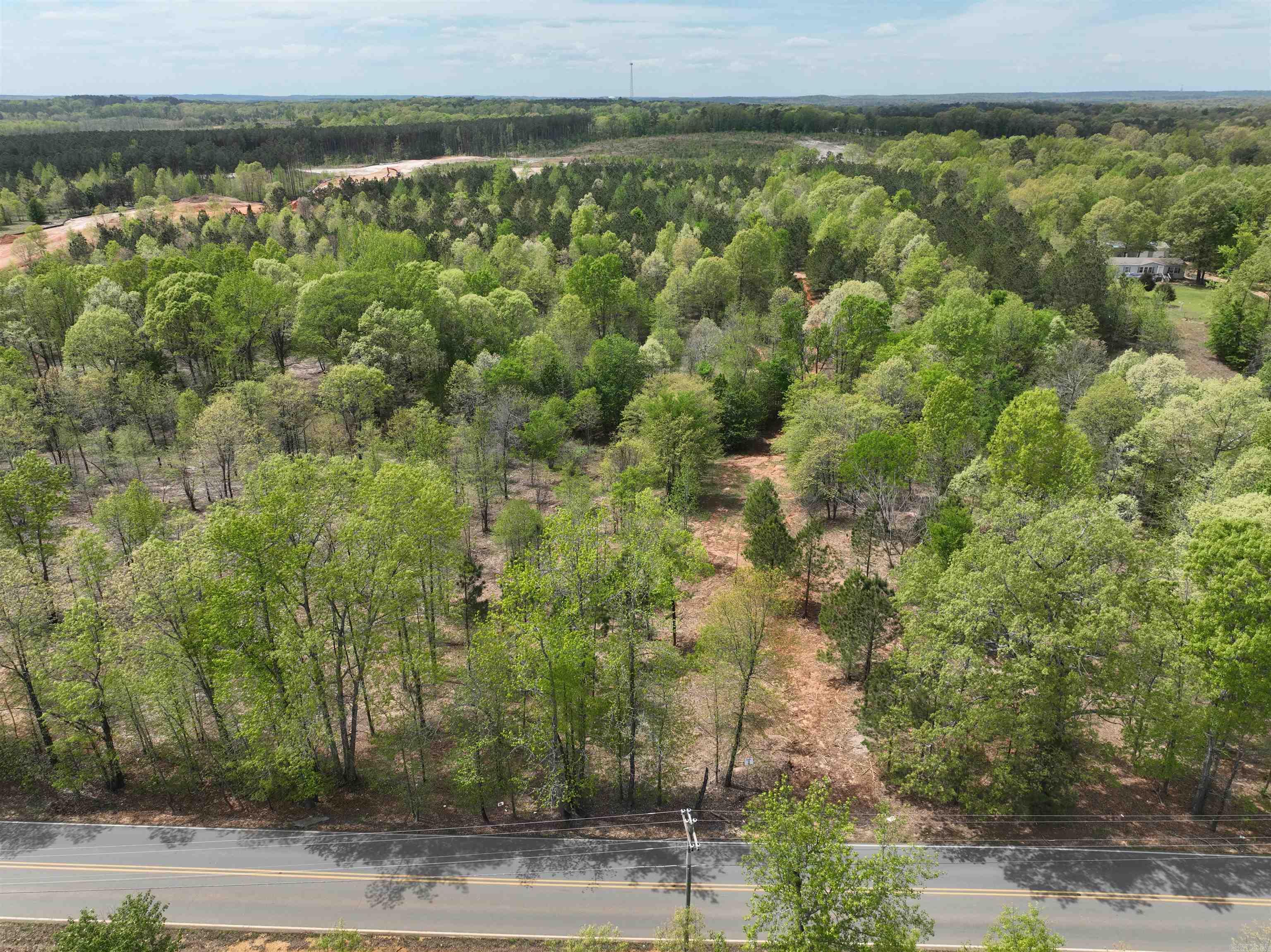 Mountain Pine - Land