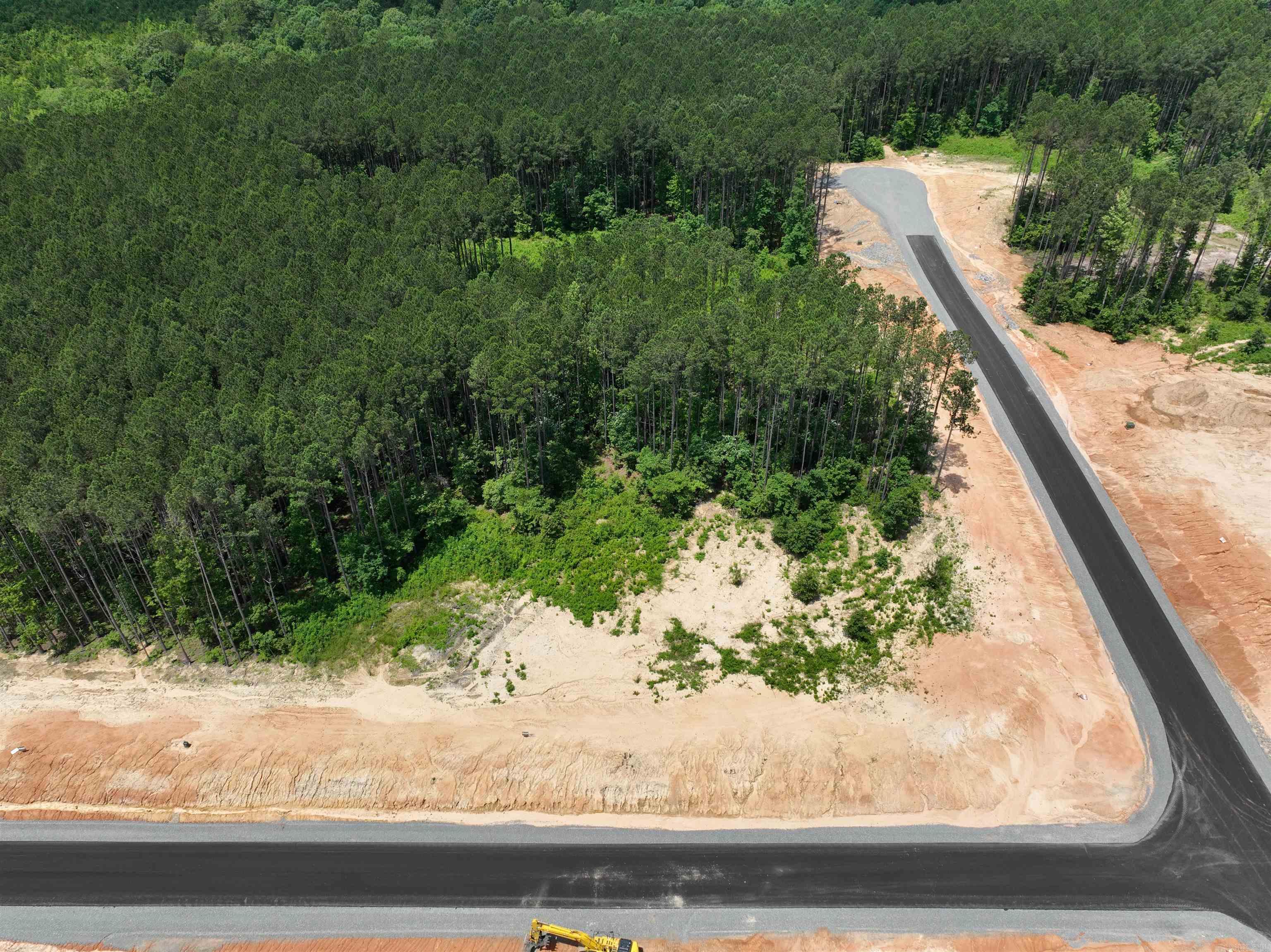 Mountain Pine - Land