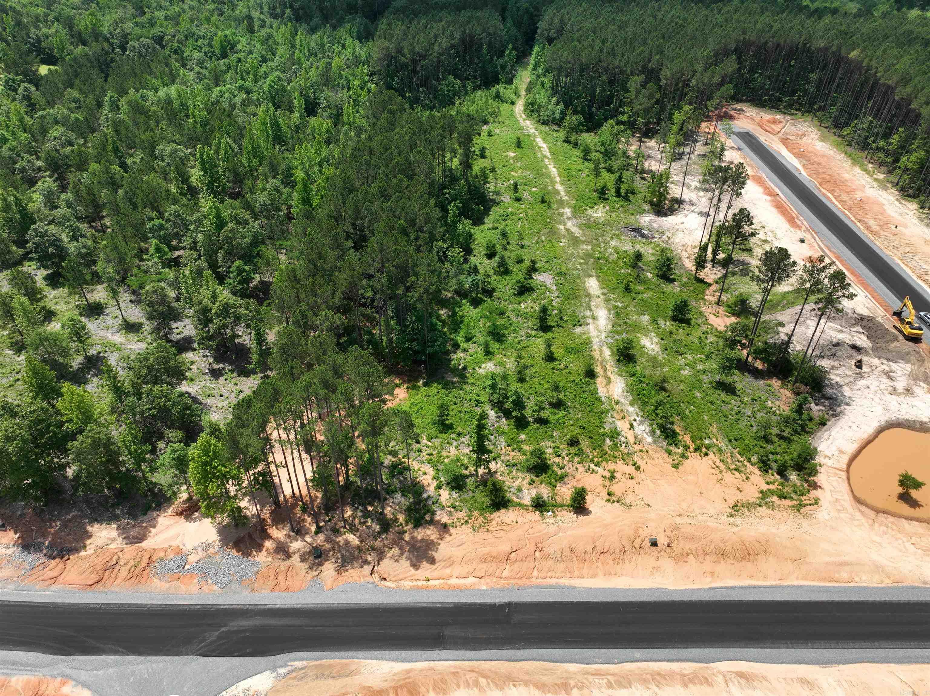 Mountain Pine - Land