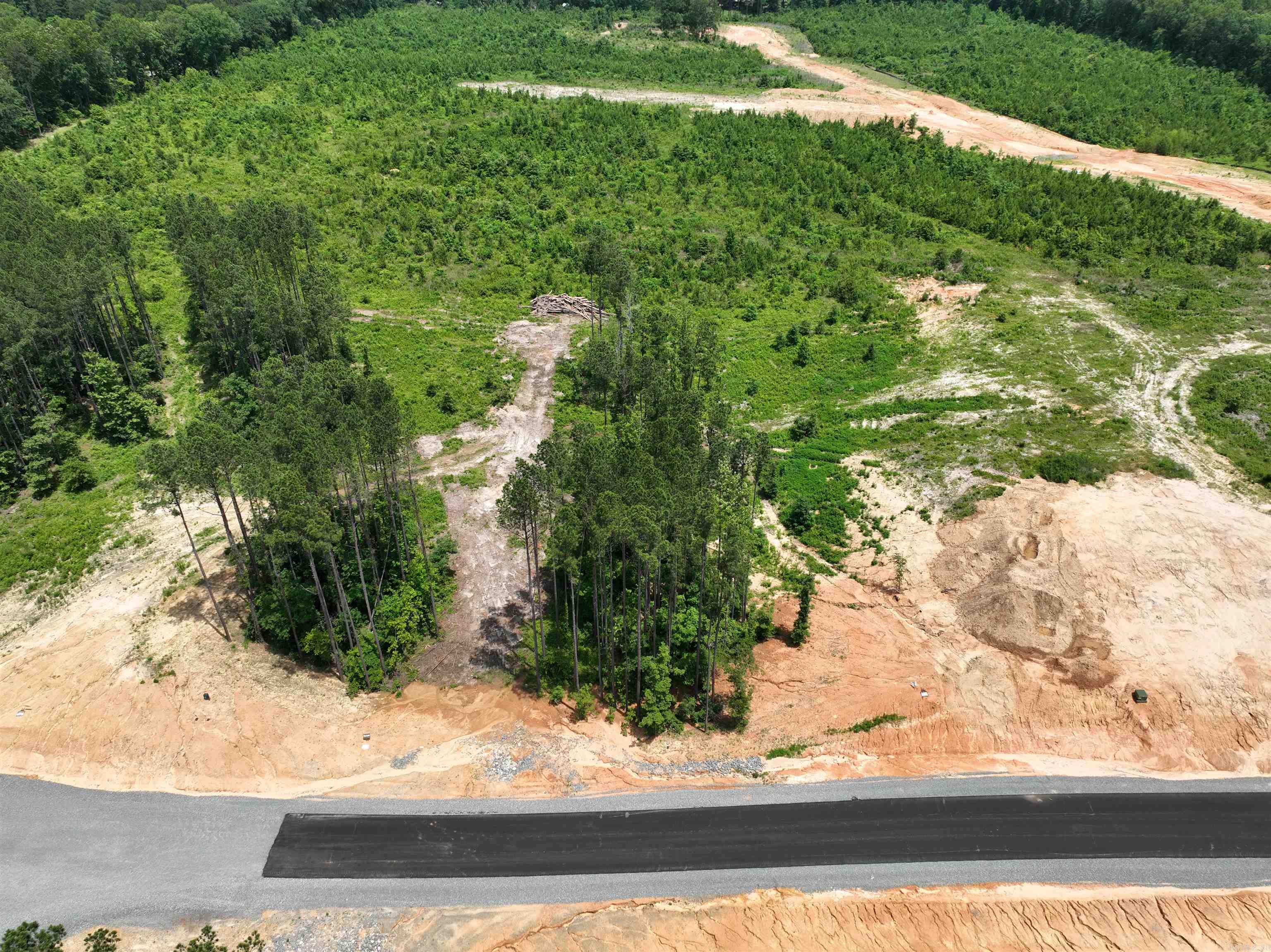 Mountain Pine - Land