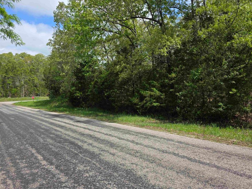 Outstanding location. This wonderfully wooded, very level, big, corner lot is just one block away from beautiful Crown Lake. Just a 1/4 mile from the public fishing pier and pic-nick area on the North end of Crown Lake. Come see this large corner lot and pick out you building spot for your dream home or your vacation home. Location, location, location. It doesn't get much better than this. A level lot in the Ozark hills, near the big Lake and not far from town for shopping and dining out. Horseshoe Bend has 4 lakes and the Beautiful 18-hole Turkey Mountain golf course. The Strawberry River flows by just to the South of the City. Come see this lot and stake your claim to some beautiful Ozark land.