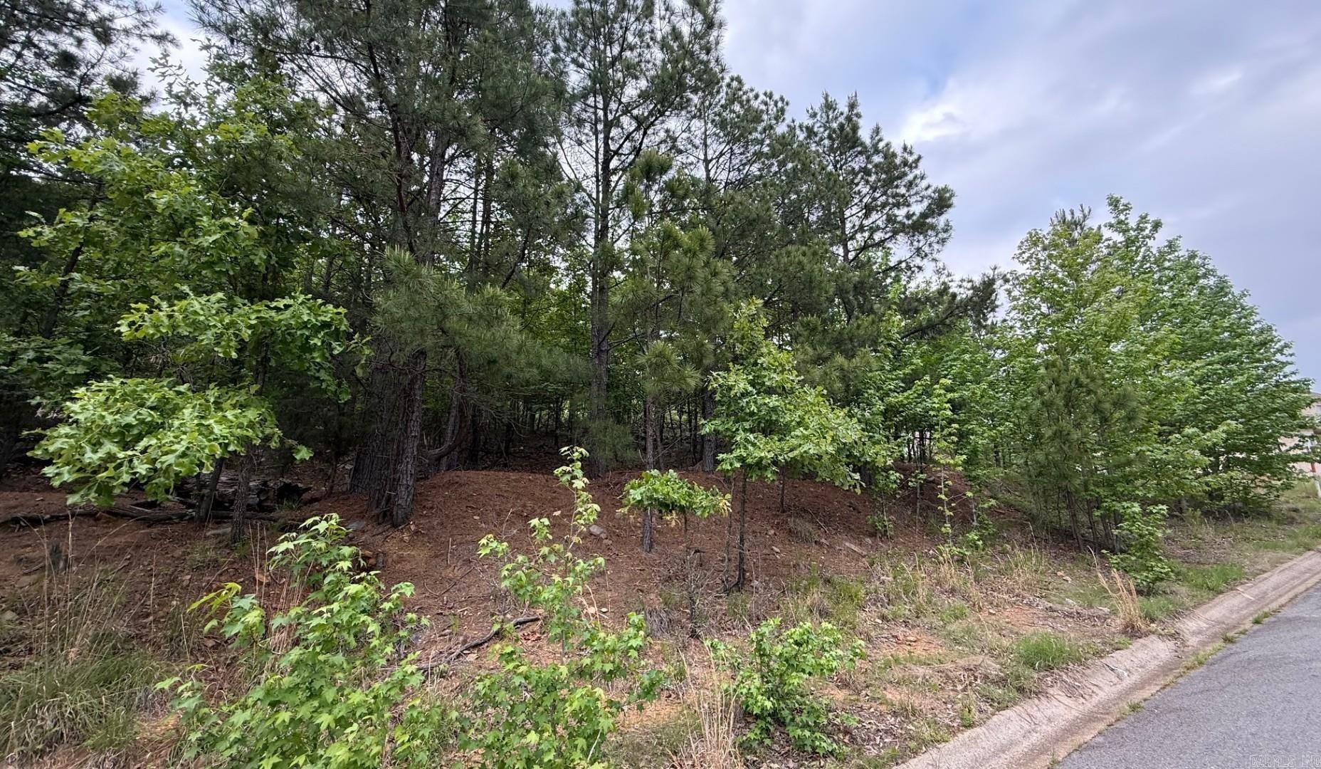 Come build your dream home in Maumelle, very lovely area, with possible river views in winter time, it's a corner lot, always desirable! Minimum 2500 sq ft, BOA attached. Maumelle has a lot to offer, golfing, walking/biking trails, a beautiful park with two lakes, community center with pool, a top of the art senior center, tennis fields, pickle ball, play zones and splash pads for kids and more! Bring your own builder if you want. You won’t regret it! This is an amazing community! Agents see remarks.