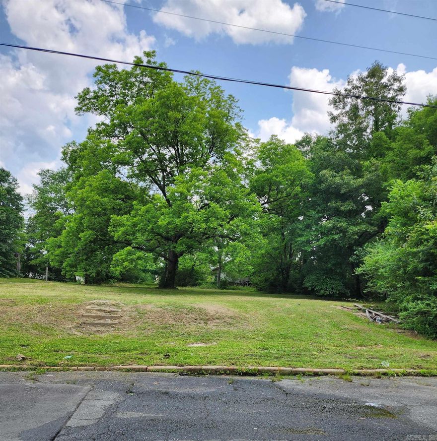 Build to Rent (BTR) or Single Family Home (SFH) Residential Lot located in the Historic Central High School District. Property is within walking distance to Central High School and the Central High School Museum. It is a 5 minute drive to Arkansas Children's Hospital. 5 minutes more or less from I-630. This is a one of a kind great location!