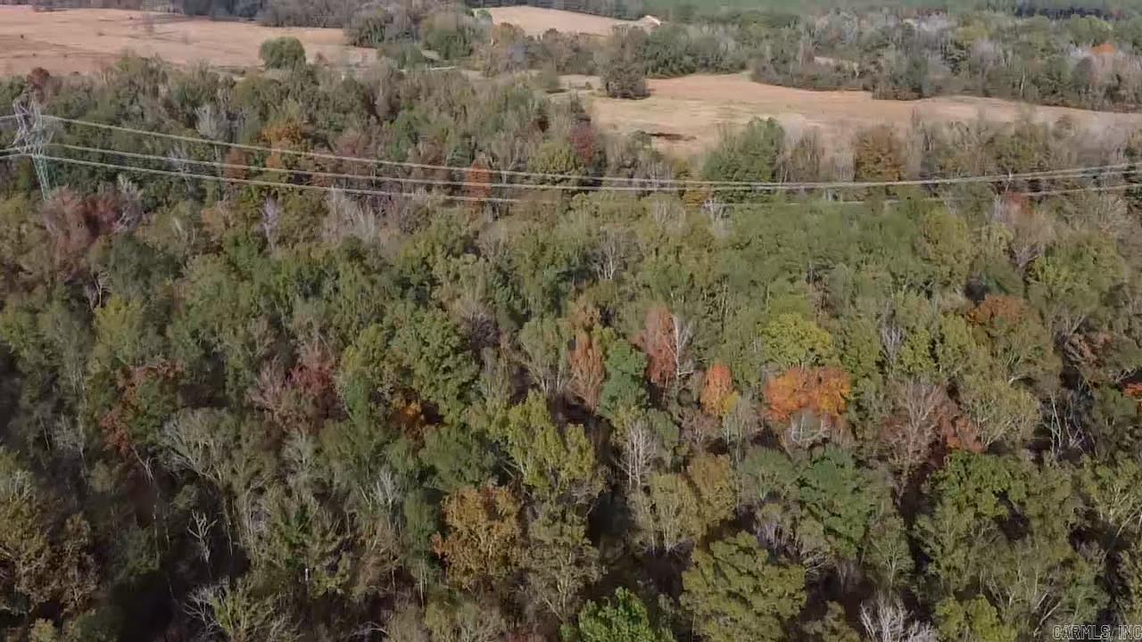 Everyone knows that diversity is key for wildlife habitat, and most also know that the least available food supply is usually the one wildlife longs for the most. This is true of these hardwoods surrounded by managed pine timber company ground, it stands out in a great way. There are tons of wildlife and a great big powerline bisects the tracts of timber, giving great openings to view wildlife and placing deer stands. Multiple deer stands are already in place. Turkeys have been spotted on the property as well. The best part is that there is a perfect place to build your dream home overlooking the neighboring pasture and huge pond. This is one you have to see. Call the land specialist for your private viewing.