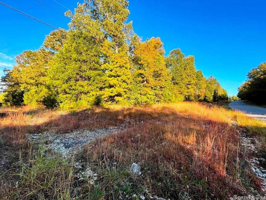 Build your dream home near Pioneer Lake on this fairly level corner lot. Enjoy the communities amenities, maintained by a modest $80 annual fee paid by all property owners. A state approved perc test will be required for septic prior to building.