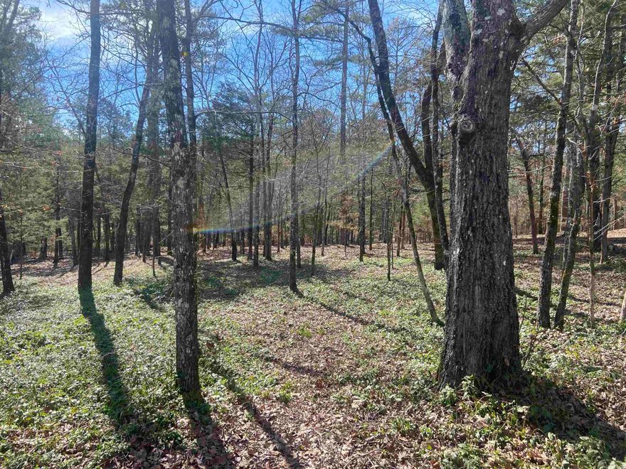 Great opportunity to buy TWO lots for your dream build. Both lots being sold together. Just minutes from the Glazypueau Gate and Lake Pineda boat ramp. Don't miss out on this opportunity to build your dream home on just over half an acre in Hot Springs Village!