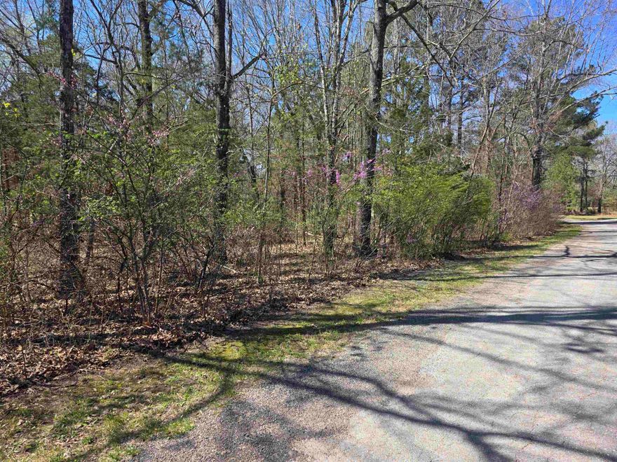 Nice very level lot. Lots of trees and lots of nature and wildlife. Located just on the Fulton County side of Cherokee Village. Come check this lot out, check out the view and see where you want to put your vacation home or your forever home. Retire here and fish 7 different lakes and golf 2 different 18-hole golf courses. Don't forget about the beautiful South Fork River that flows right through the Village. Shop in Old Hardy town and trout fish the Spring River. That's living the Cherokee Village lifestyle.