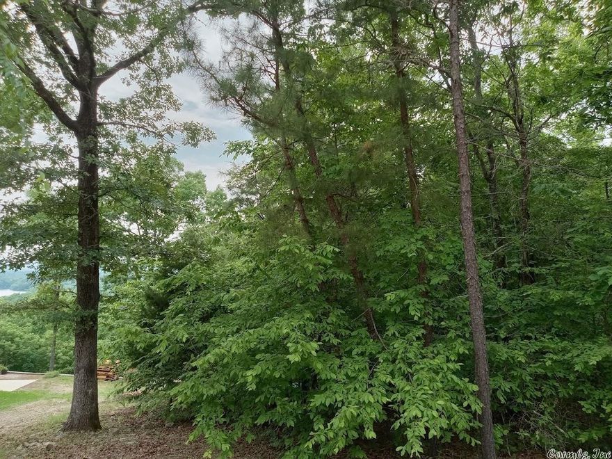 BEAUTIFUL VIEW!  These 5 lots are a must see! Located at the top of OHIO DR in Diamondhead. All on one POA dues. Great investment property or build your dream home and have a gorgeous view.  Diamondhead amenities include an Olympic-size pool, basketball/tennis courts, playground, clubhouse with a fitness room/library/restaurant/banquet room and Security. The Night view is awesome!