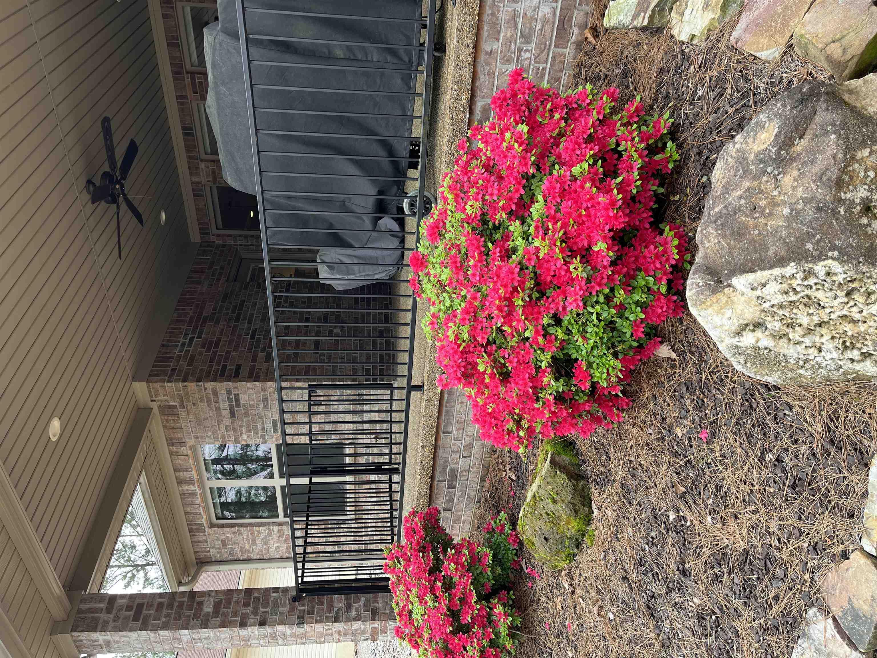 Isabella - Residential