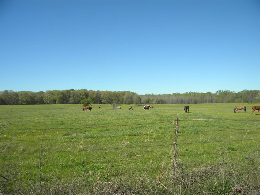 Beautiful fenced property that has home spots, property has horses on it now but can be used for whatever. Pond in the middle and creeks in the back.
