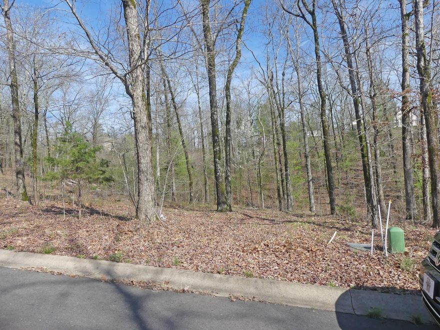 Nice building lot in LSSD