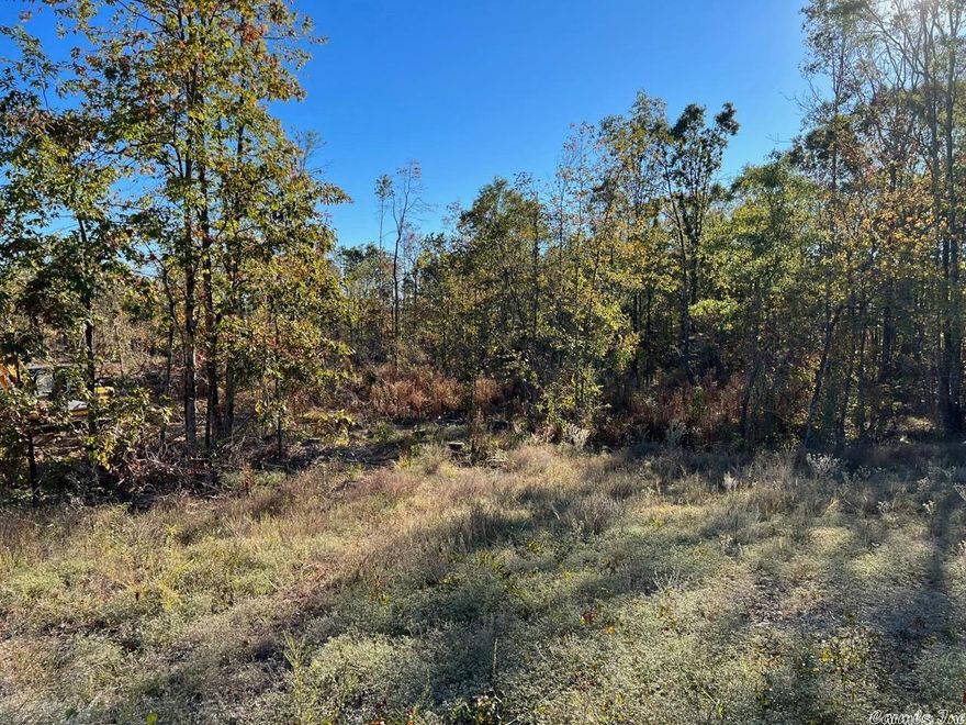 Build your dream cabin on this sizeable 3.96± ac of wooded, partially cleared TRACT 3.  Water and electricity are at the road.  Mobile homes are allowed if they are 10 years or newer.  Restrictions apply.  There is a 30 ft. utility/road easement.  Owner financing available, if qualified.