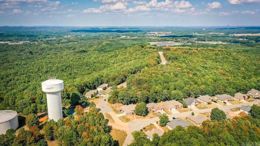 Perfect View for your Dream Home! Developed community with gutters, sidewalks and paved roads. Package prices for builders are available. Underground utilities available at the street. 1800 sq ft min. Bring all offers!