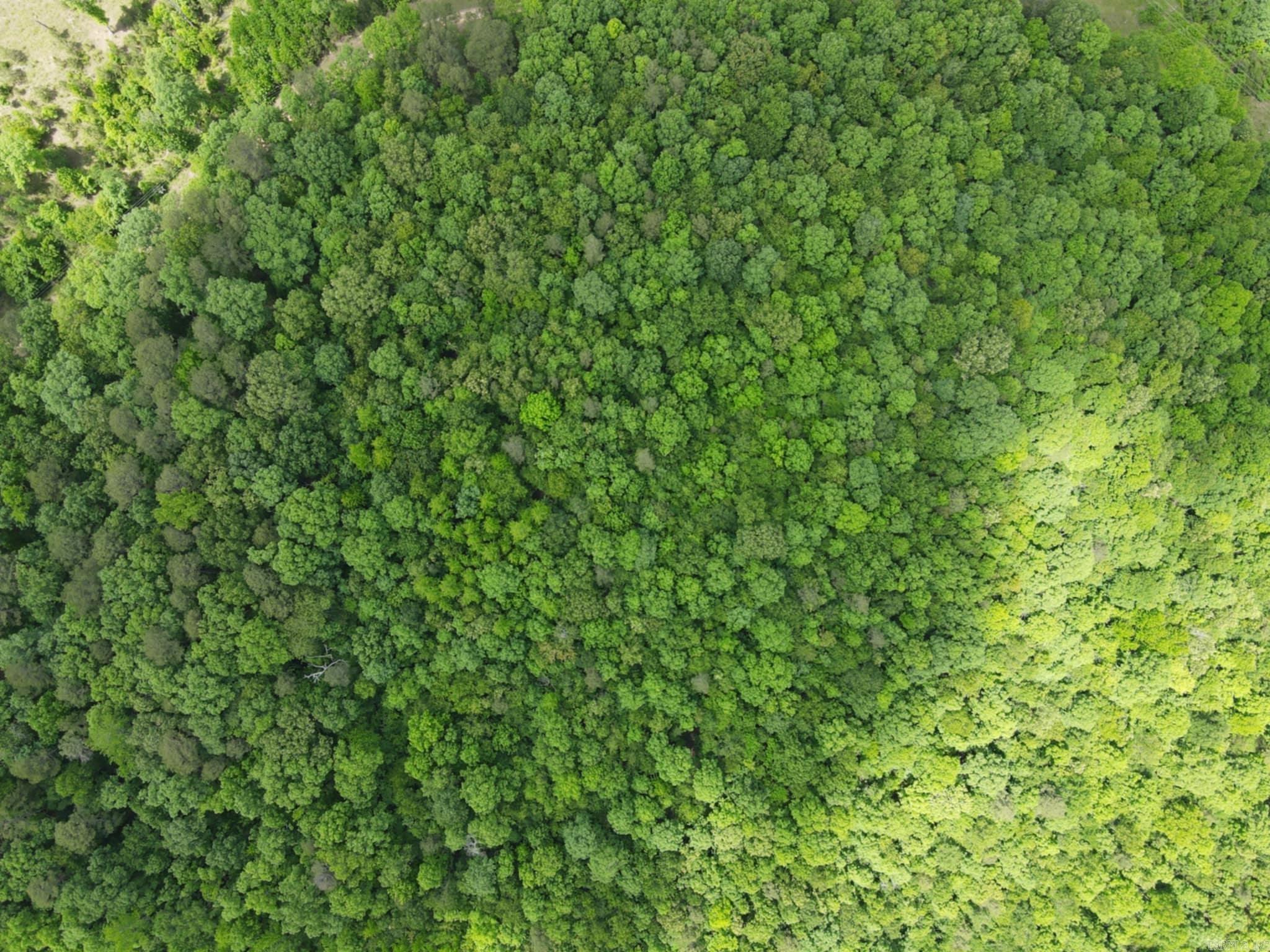 Beautiful 5 acres located in Wickes, AR with amazing shades trees and seclusion. Great property to build or put in a mobile home. Electric is available on the lane. Additional 5 acres can be purchased: MLS 25020463. Agents see remarks.