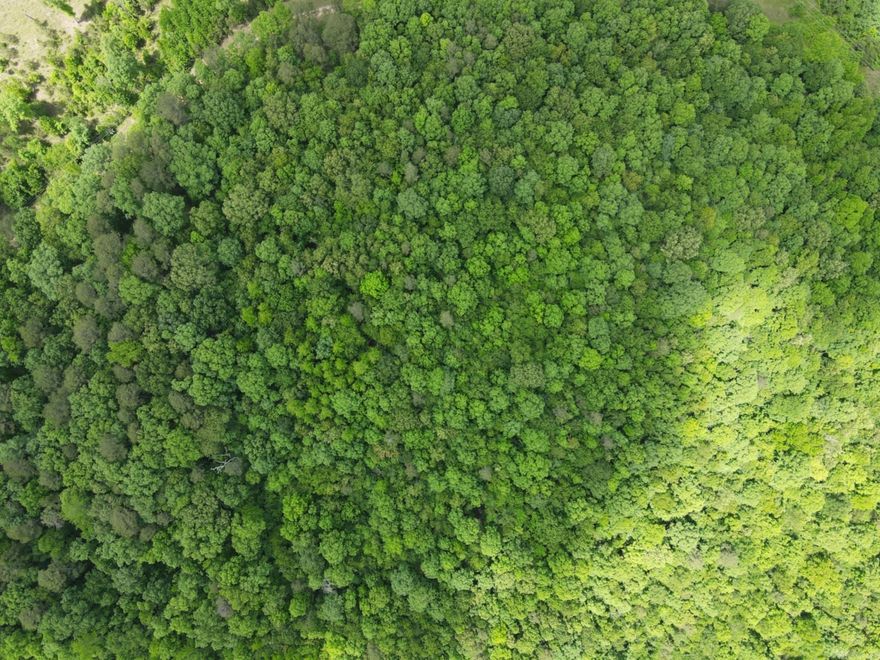 Beautiful 5 acres located in Wickes, AR with amazing shades trees and seclusion.  Great property to build or put in a mobile home. Electric is available on the lane. Additional 5 acres can be purchased: MLS 25020463. Agents see remarks.