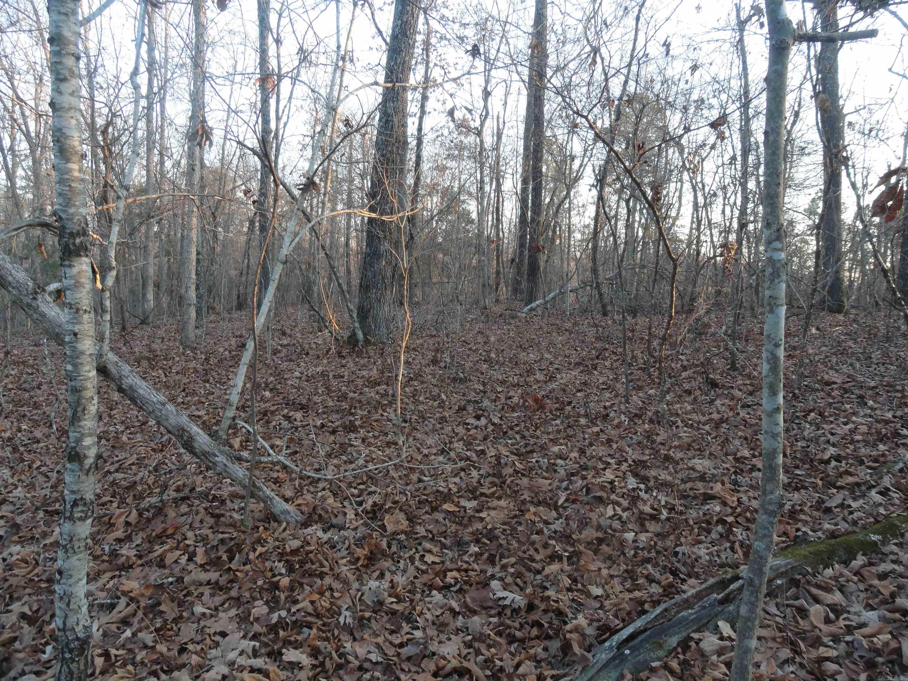 Metes & Bounds - Land