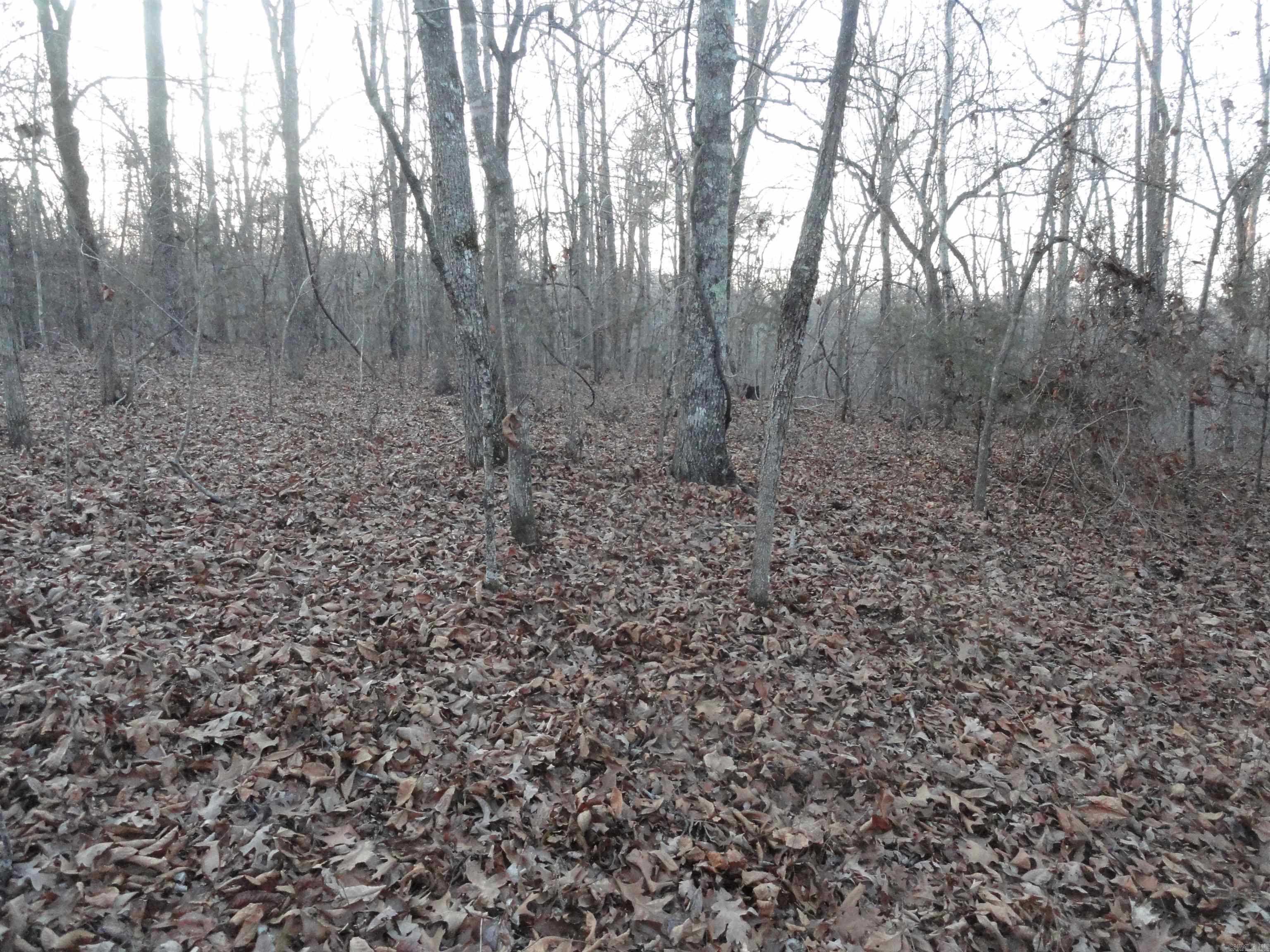 Metes & Bounds - Land