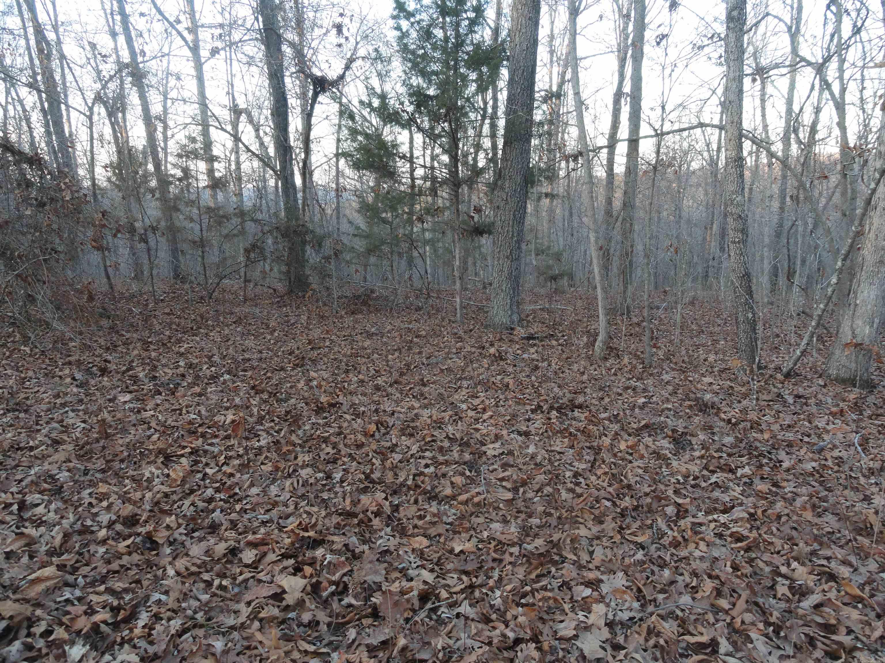 Metes & Bounds - Land