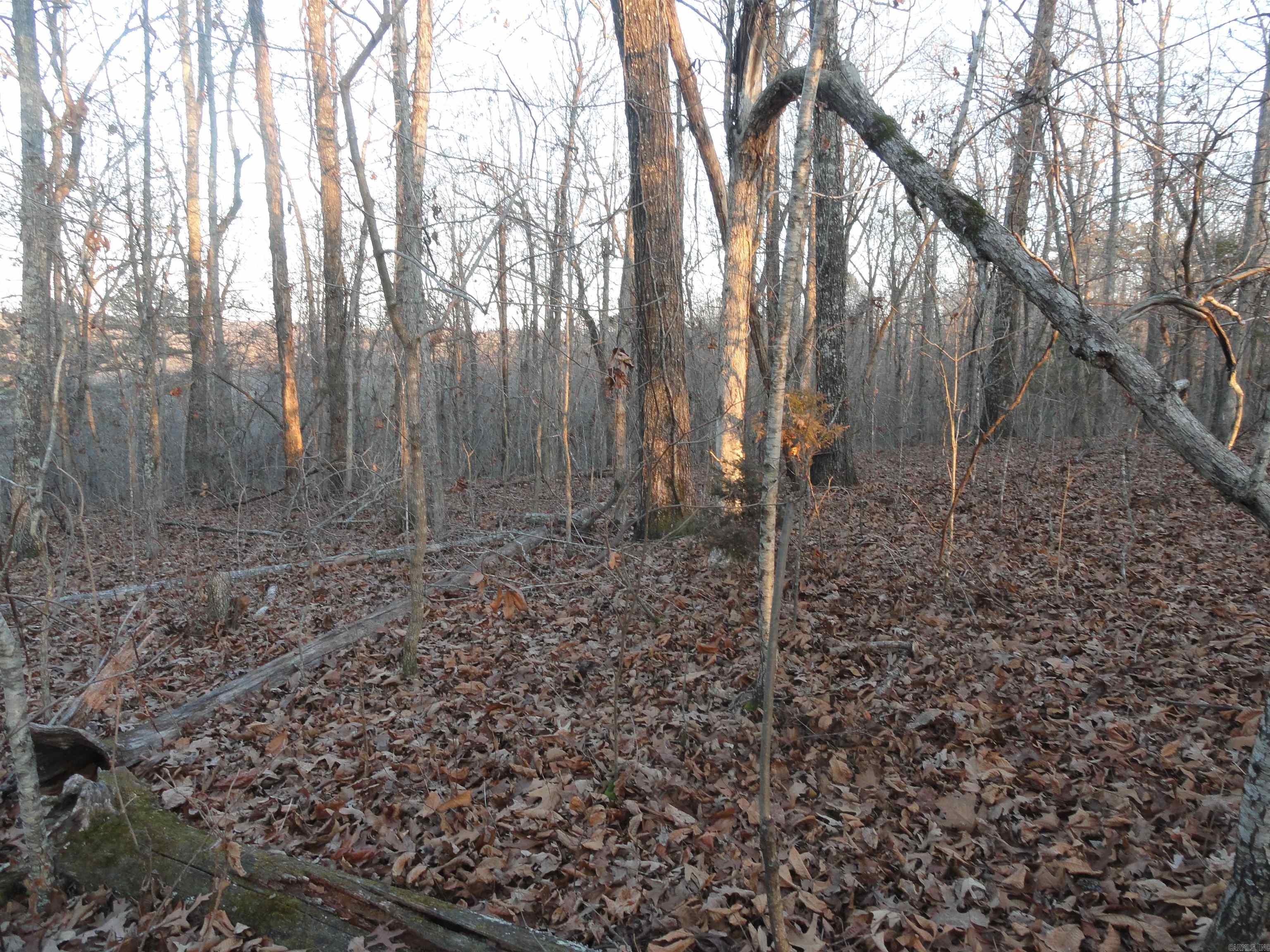 Metes & Bounds - Land