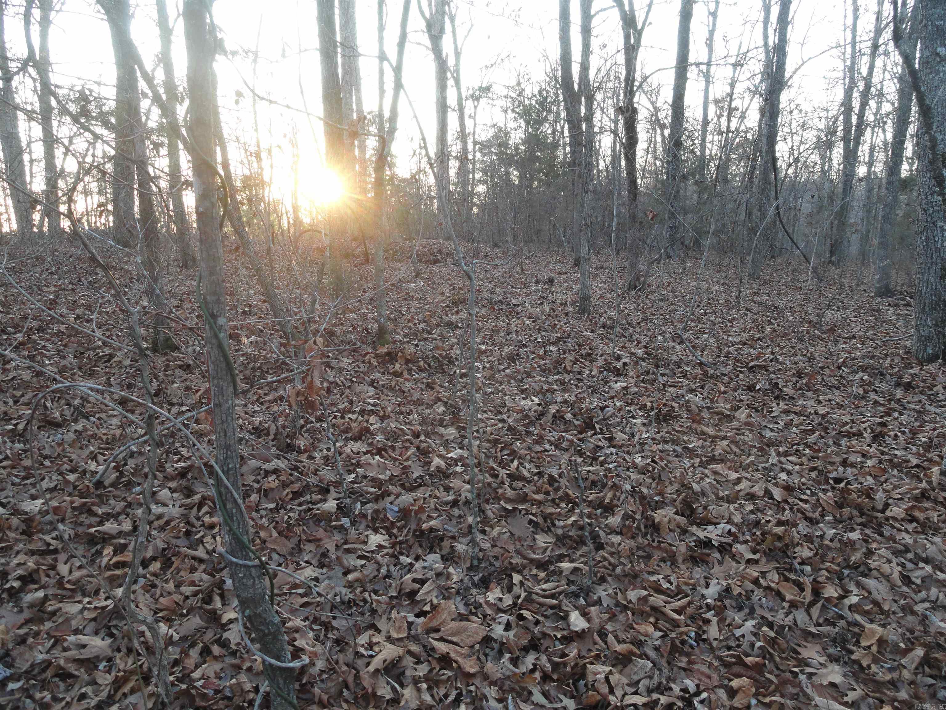 Metes & Bounds - Land