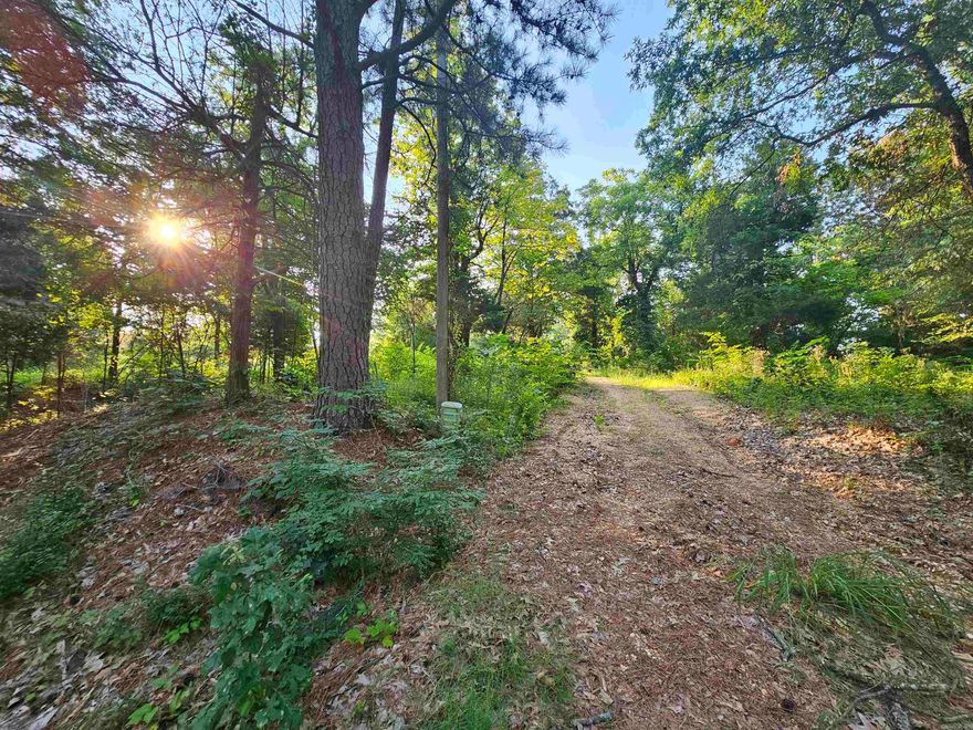 This beautiful piece of property is ready for your new home! It has been cleared. There is a 60x80 area prepped for building. The land has a recent survey and perc test. Call today to set up a showing for your future home site.