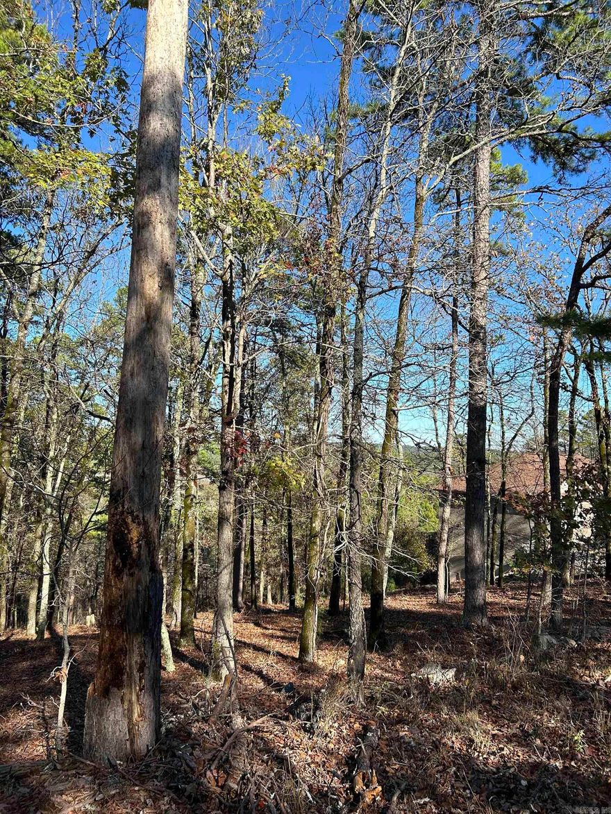 Are you looking for serene mountain and valley views along with abundant wildlife? You can find it here with this beautiful .89 acre lot located near the end of a quiet cul-de-sac. This gently, sloping lot is just waiting for your dream home. Hot Springs Village is one of the nation's largest gated communities with 9 golf courses, 11 lakes, walking and biking trails, sports facilities, tennis courts, pickleball courts and fitness centers. New property owners are subject to a one-time POA buy in fee.