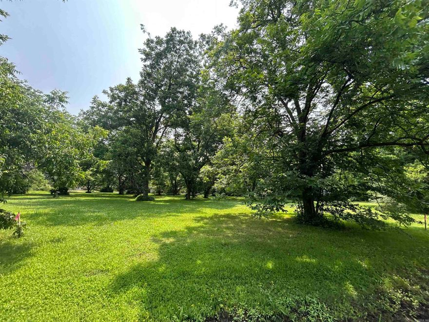 Have you been considering building a home in Stuttgart, or maybe investing in a lot to develop a residential property? This may be the one for you! This Lot will be offered alongside 8 others in Block L of the Crescent Hill Subdivision. Each lot is home to one or more beautiful, mature pecan tree(s) and utilities are conveniently available at the street. The property has been recently surveyed and is waiting for you to bring your vision to life!