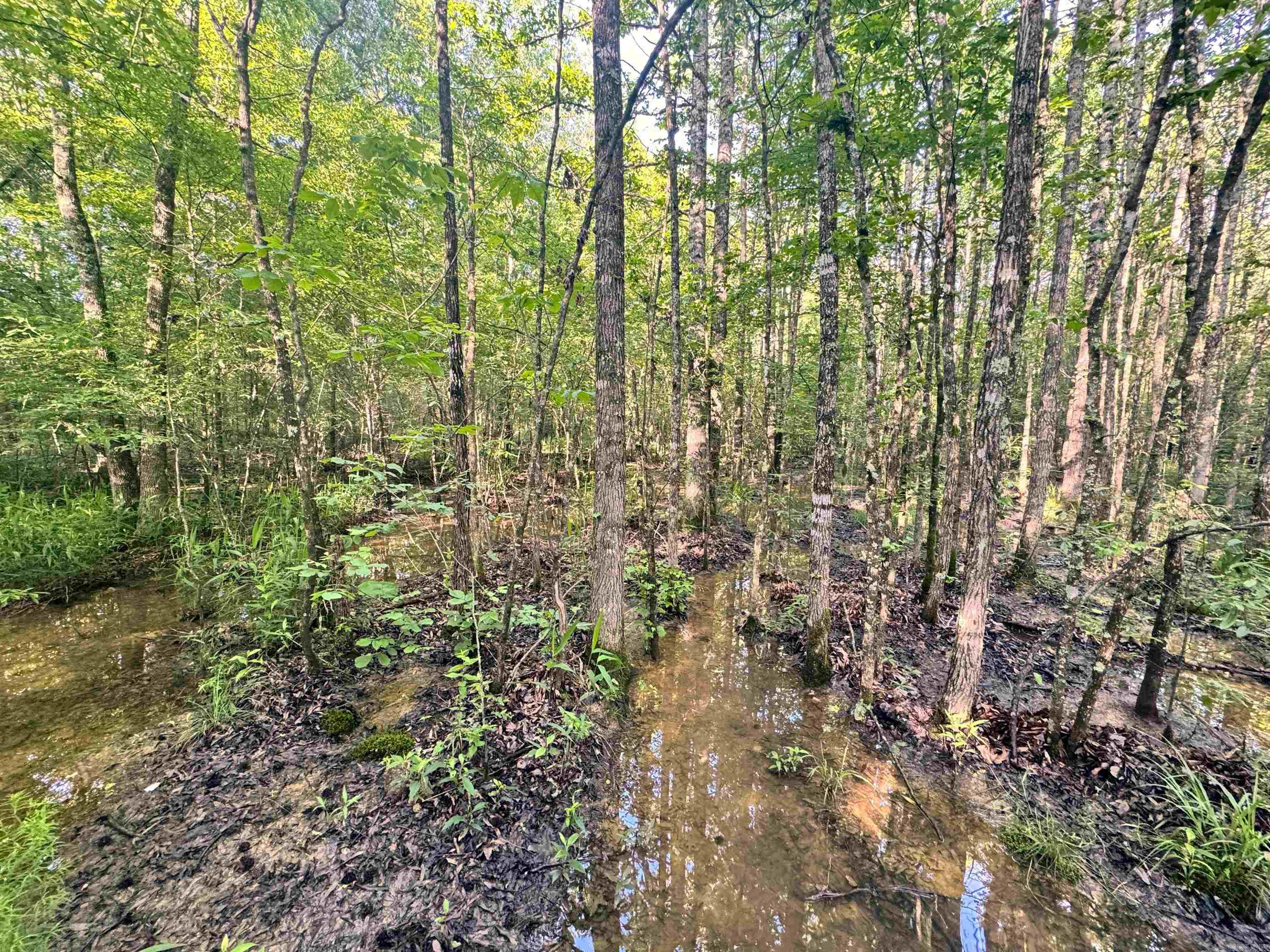 Metes & Bounds - Land