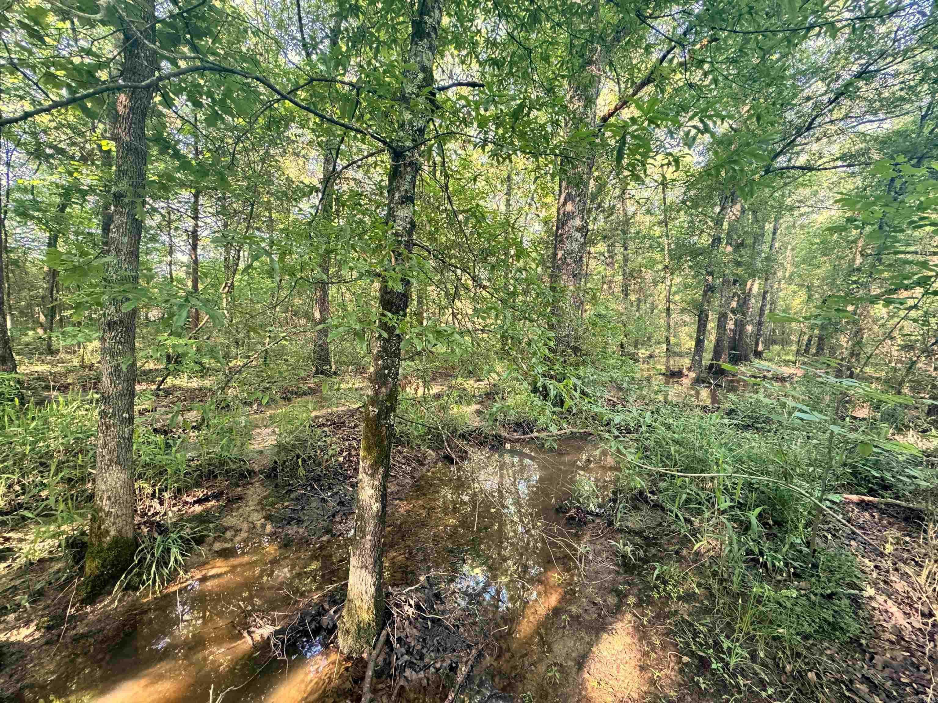 Metes & Bounds - Land