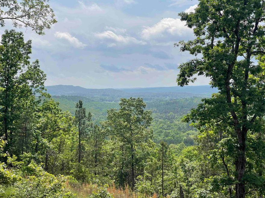 Gorgeous property with a million dollar view across the Ozarks! This home is the perfect place to get away from the hustle and bustle and just relax. With over 13 acres creating the ultimate private oasis, there is plenty of room for livestock in the pastures, campfires with friends, and back porch sitting while enjoying the scenery and wildlife! This 2021 home is in pristine condition with a beautiful open concept, recessed lighting, luxury vinyls flooring, split floor plan for added privacy, 2x4 wall construction, and double pane windows to stay energy efficient! Enjoy ample storage space, double walk in closets in the master, a large laundry room, and an outside storage shed. With plenty of cleared area as well as mature trees along the private driveway to the back, this land is versatile and stunning!