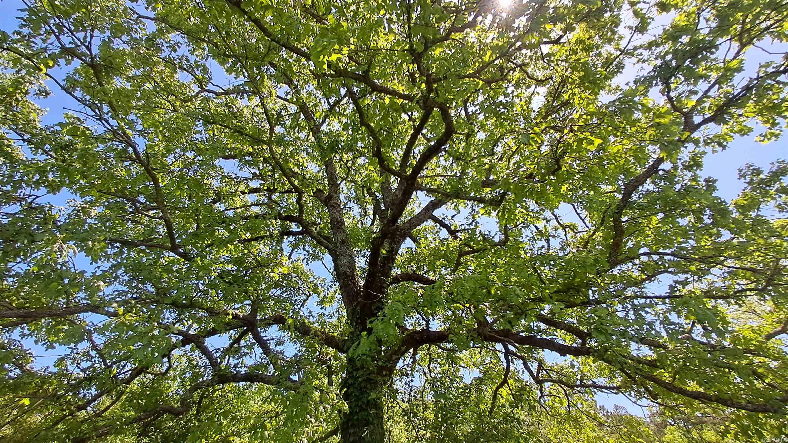 Not in Subdivision - Farm