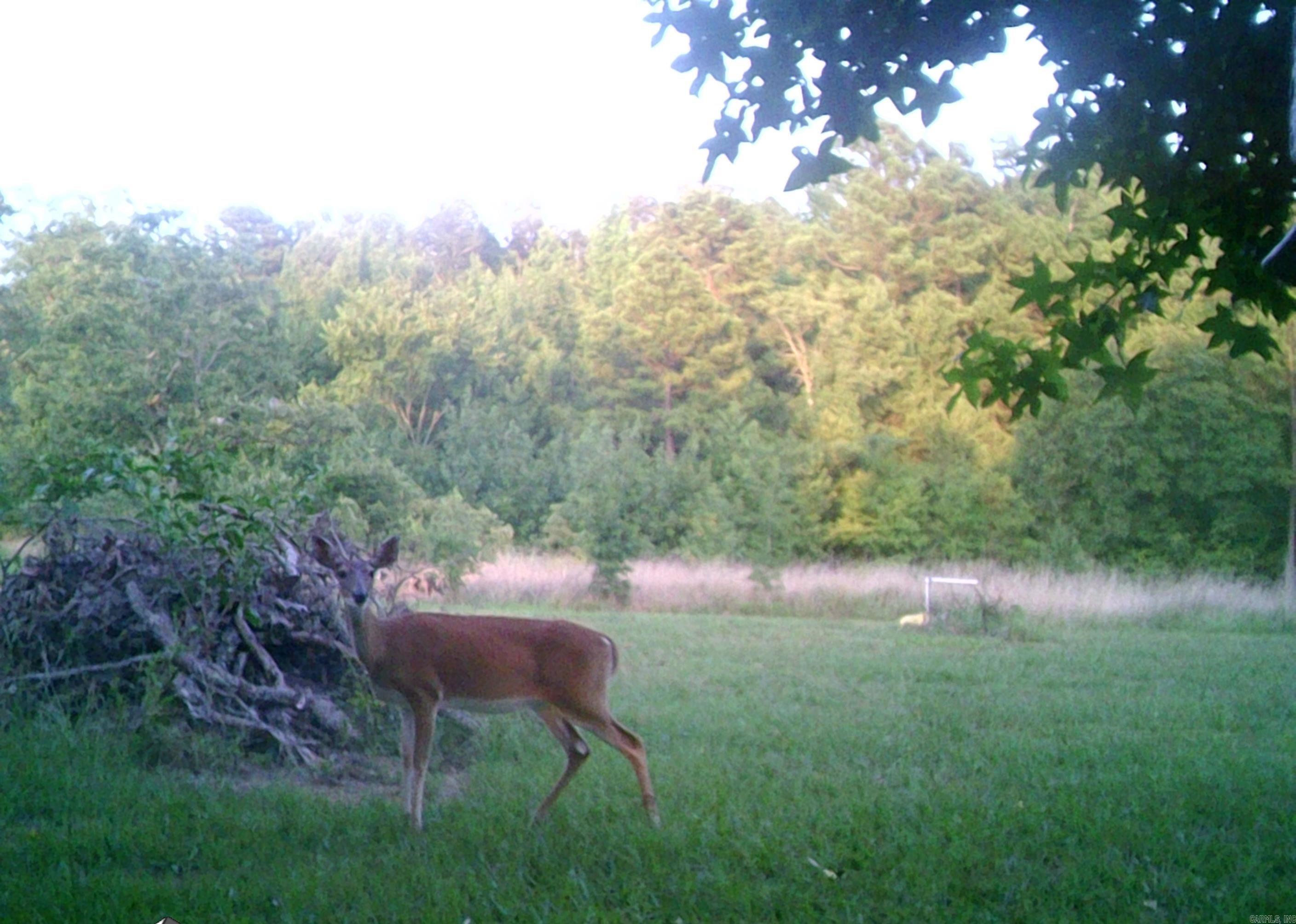 Not in Subdivision - Farm