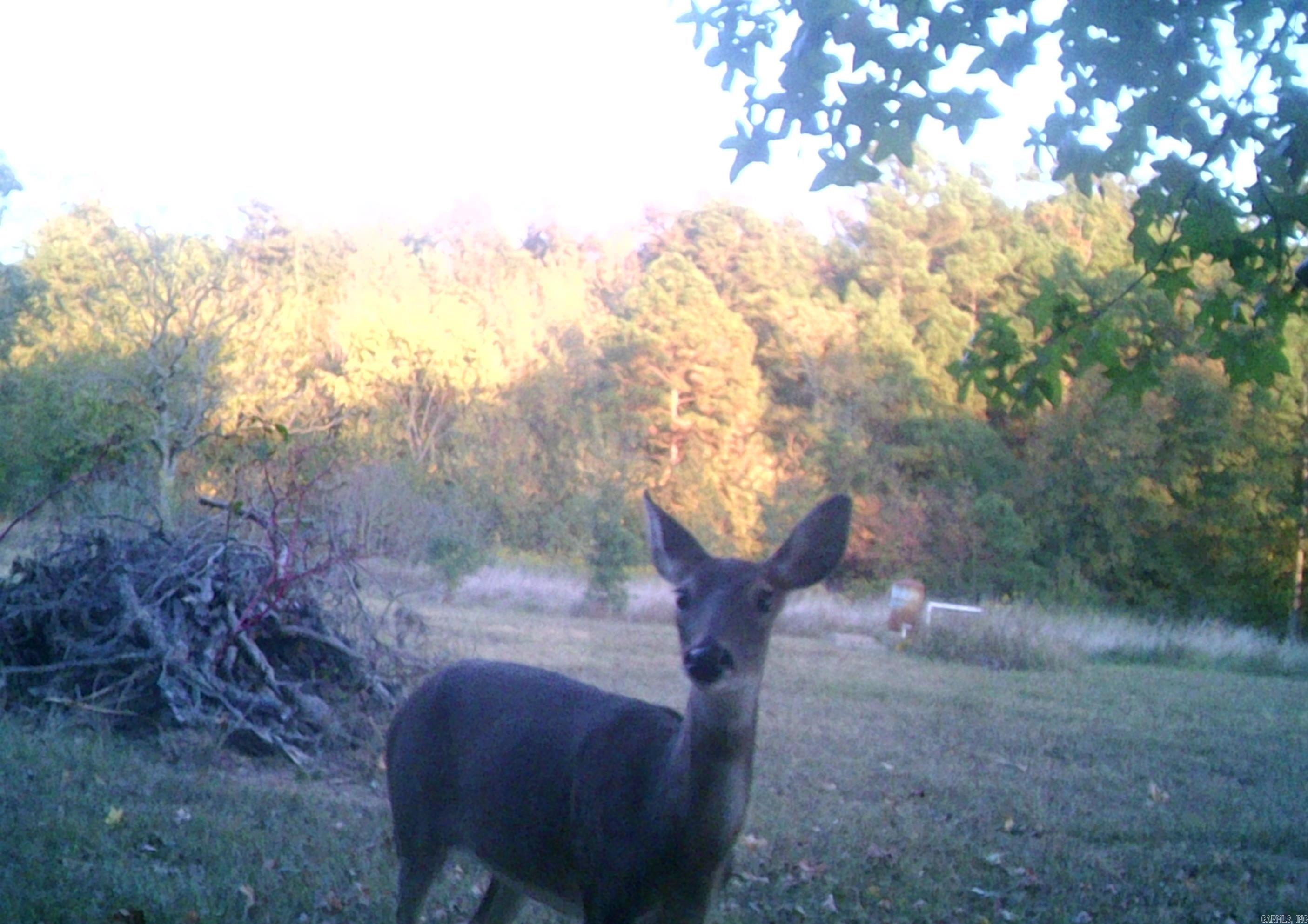 Not in Subdivision - Farm