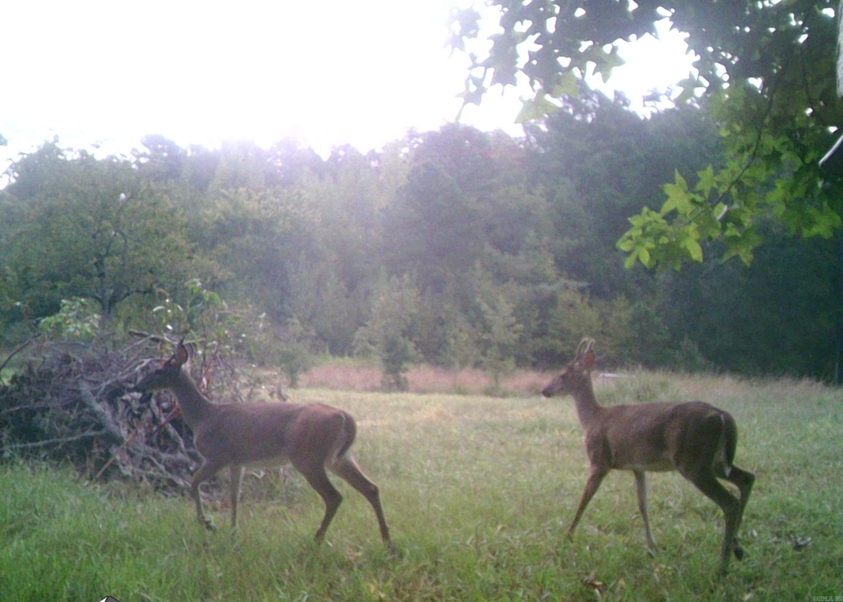 Not in Subdivision - Farm