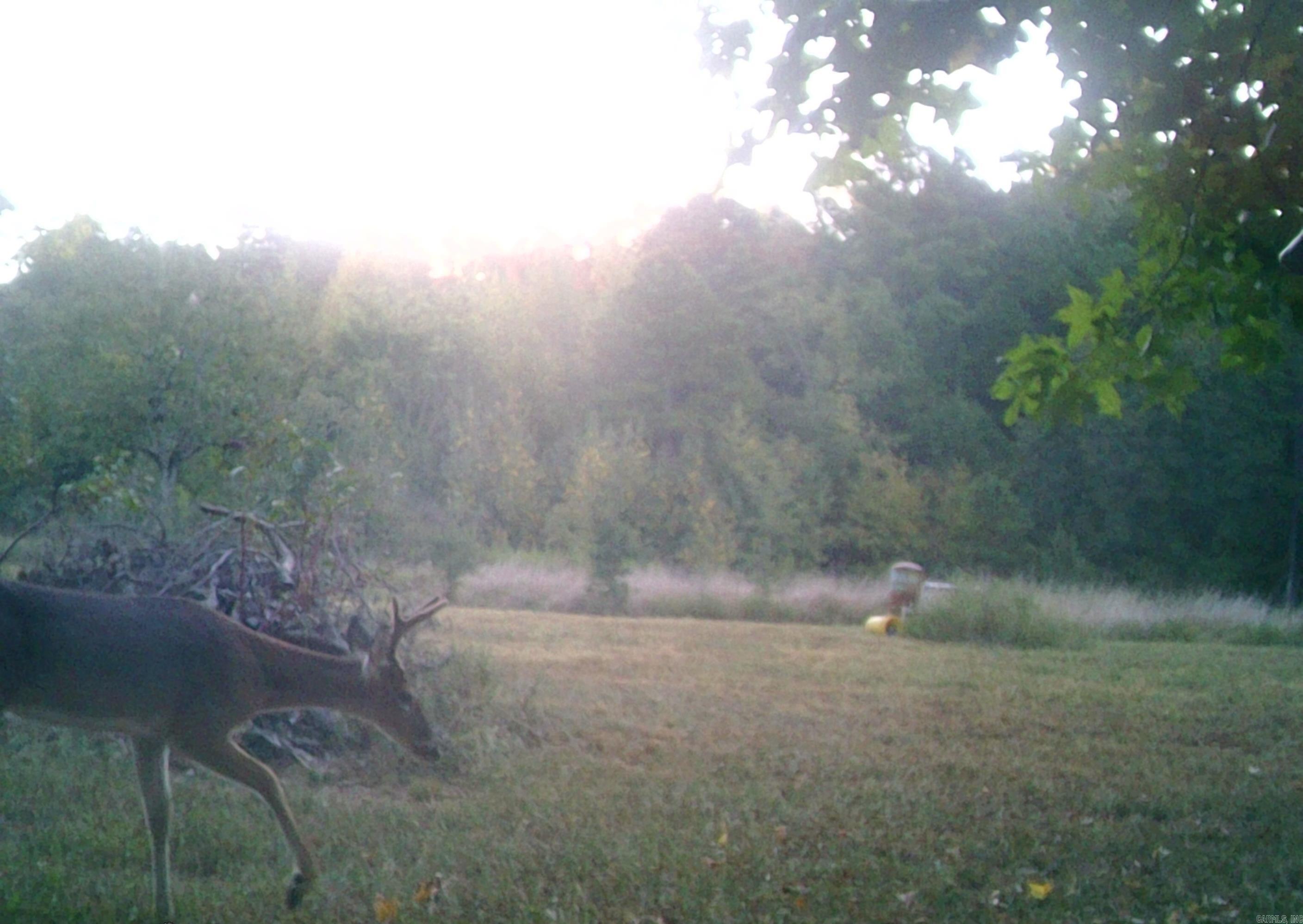 Not in Subdivision - Farm