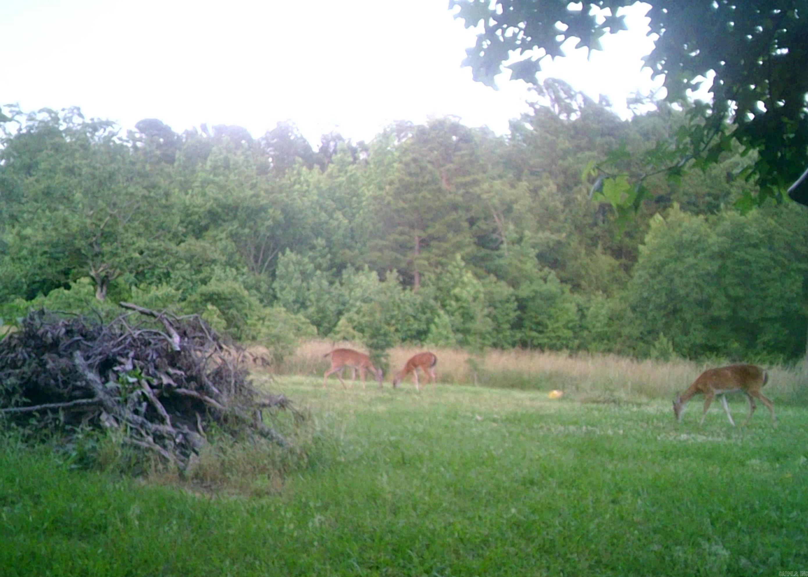 Not in Subdivision - Farm